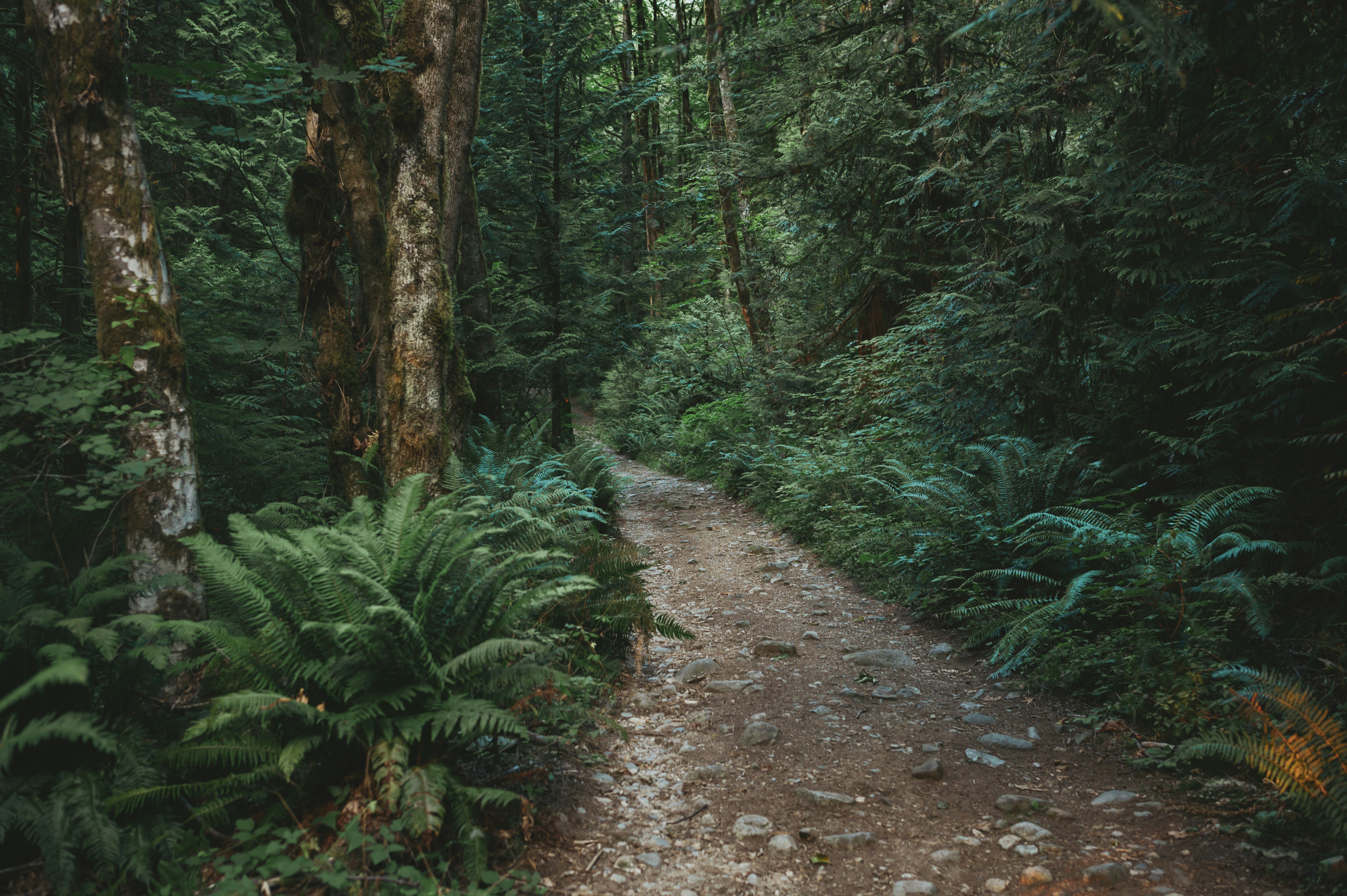 Photo by albertstoynov