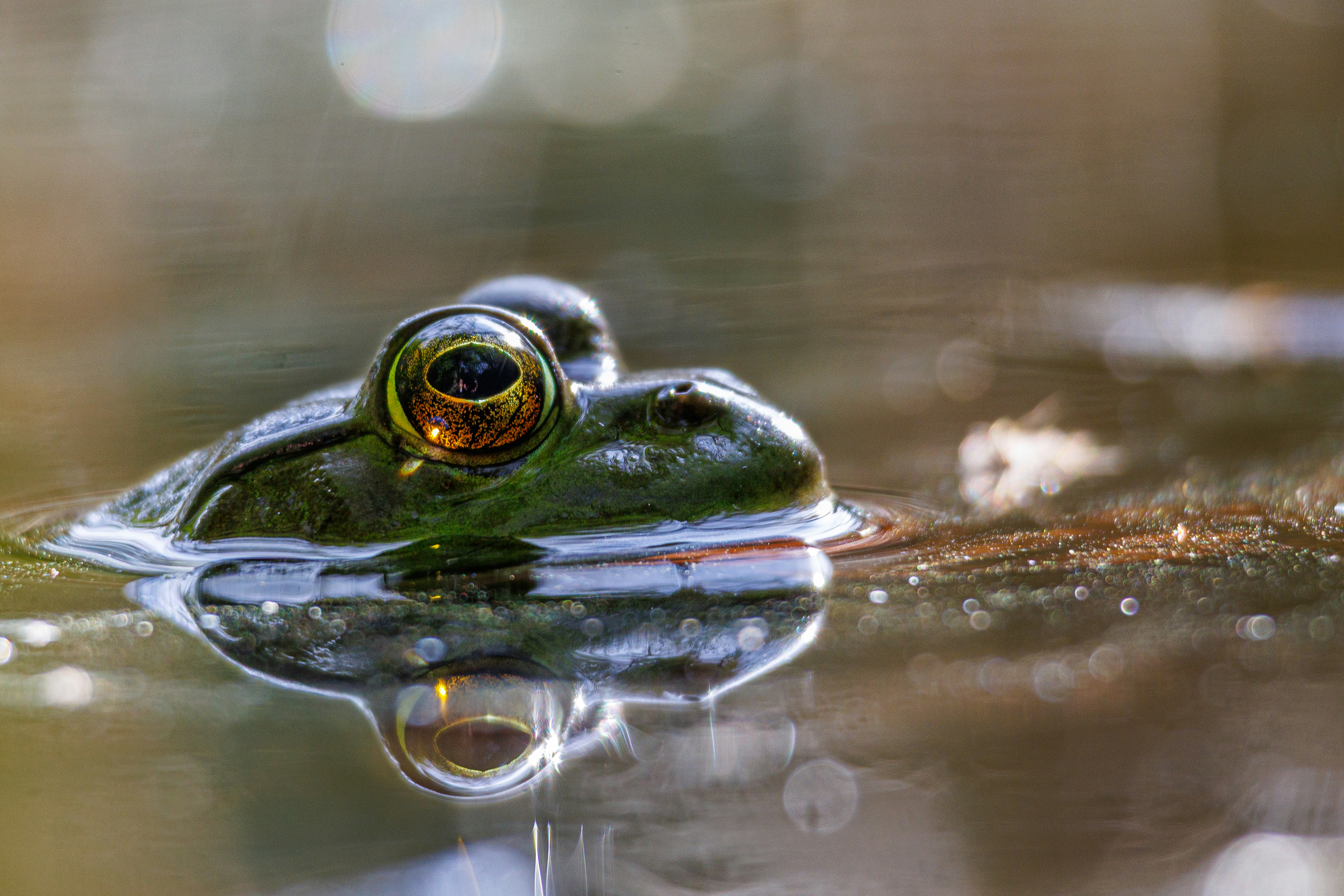 Photo by mikeschultz622