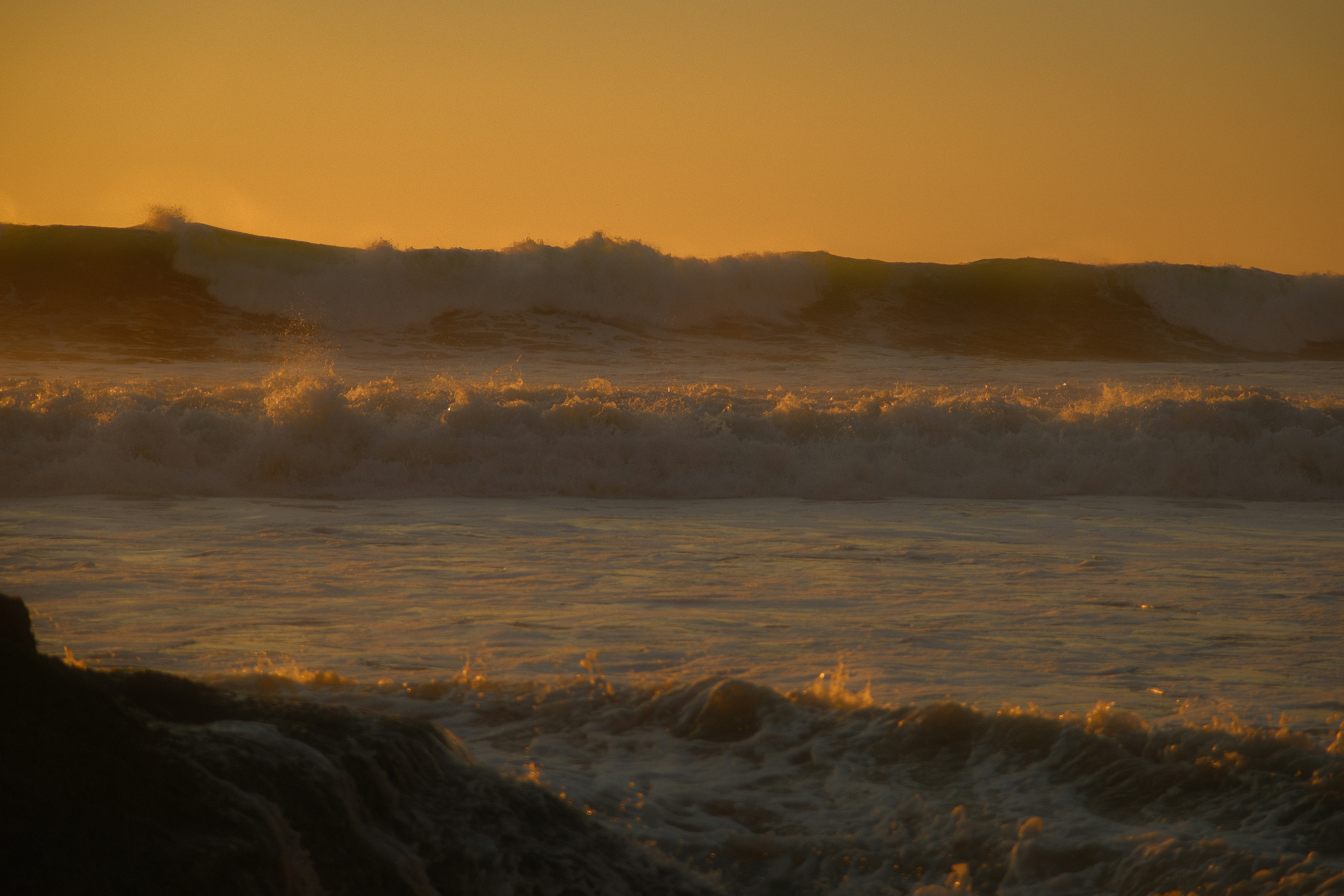 Photo by kalaniparker