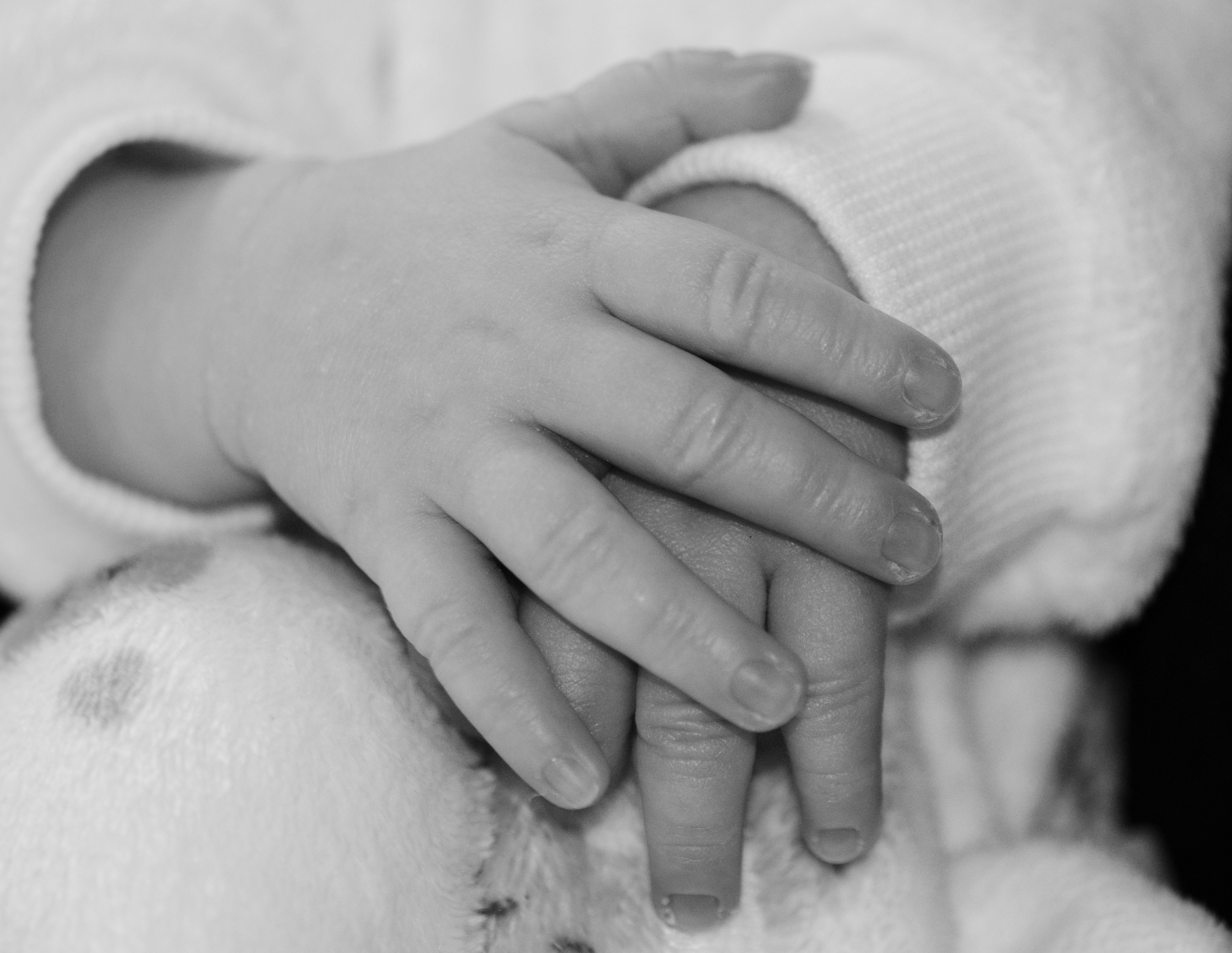 Two baby hands clasped together in black and white
