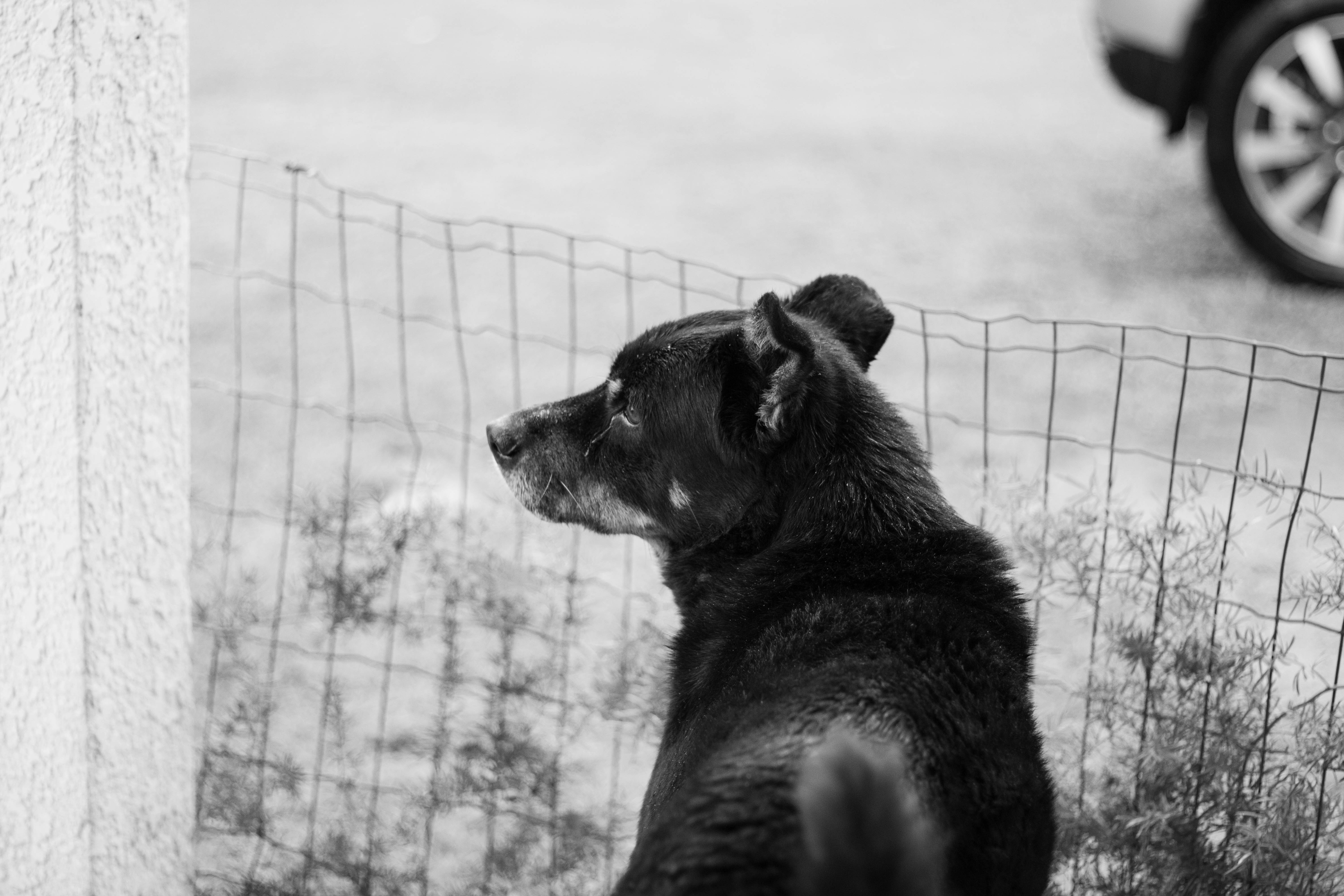 Photo by danielicordeiro