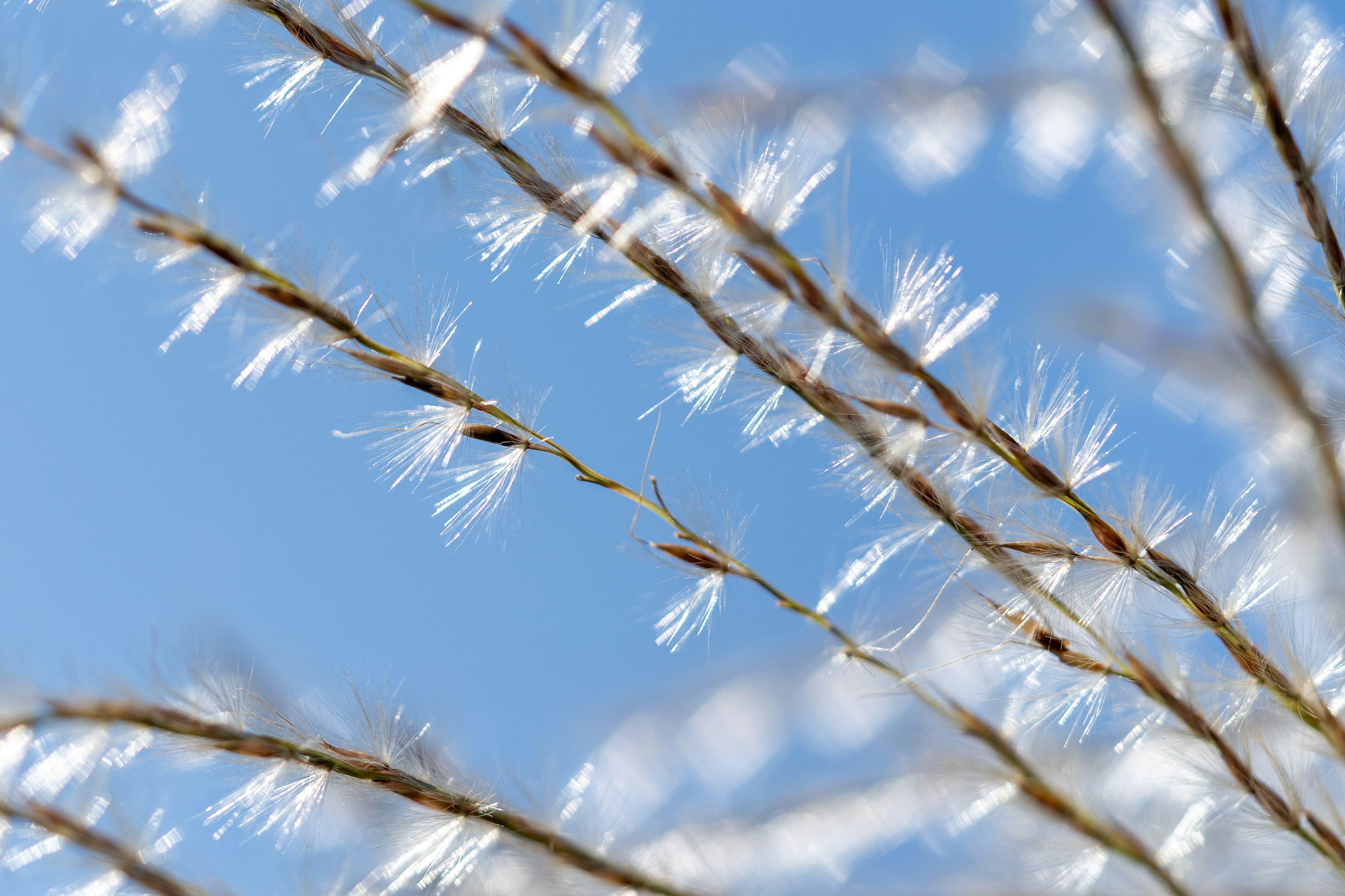 Photo by winstonchen