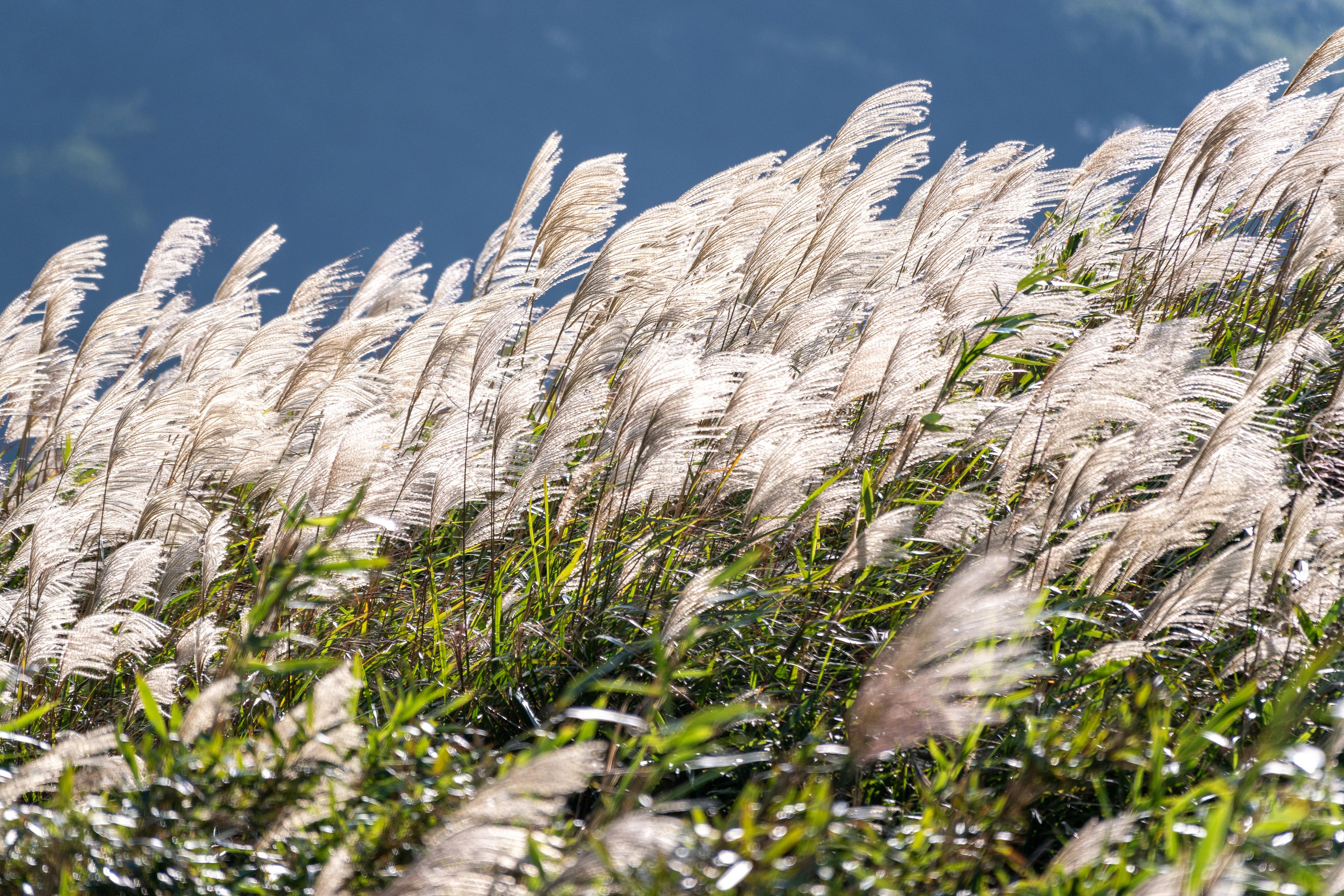 Photo by winstonchen