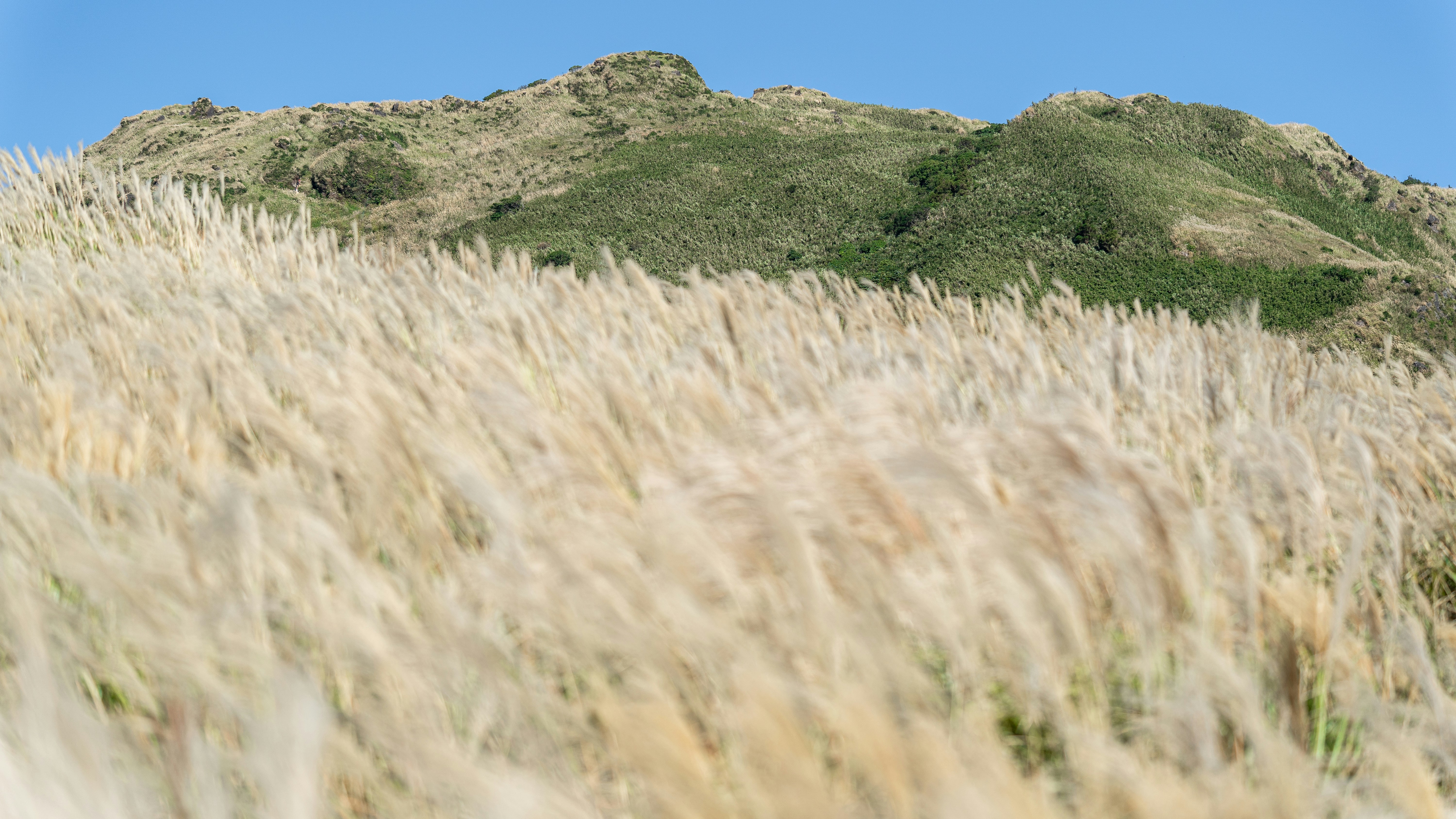 Photo by winstonchen