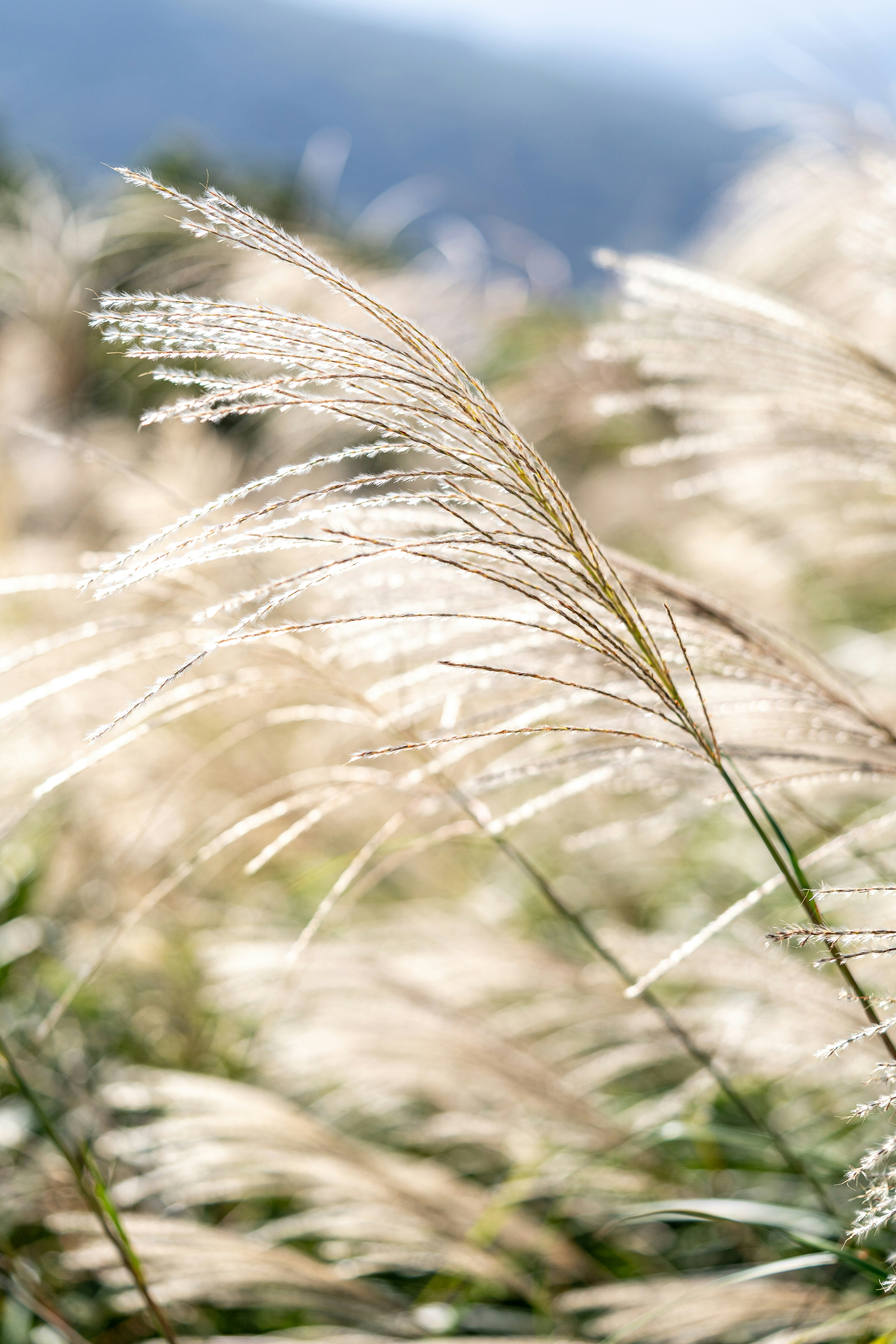 Photo by winstonchen