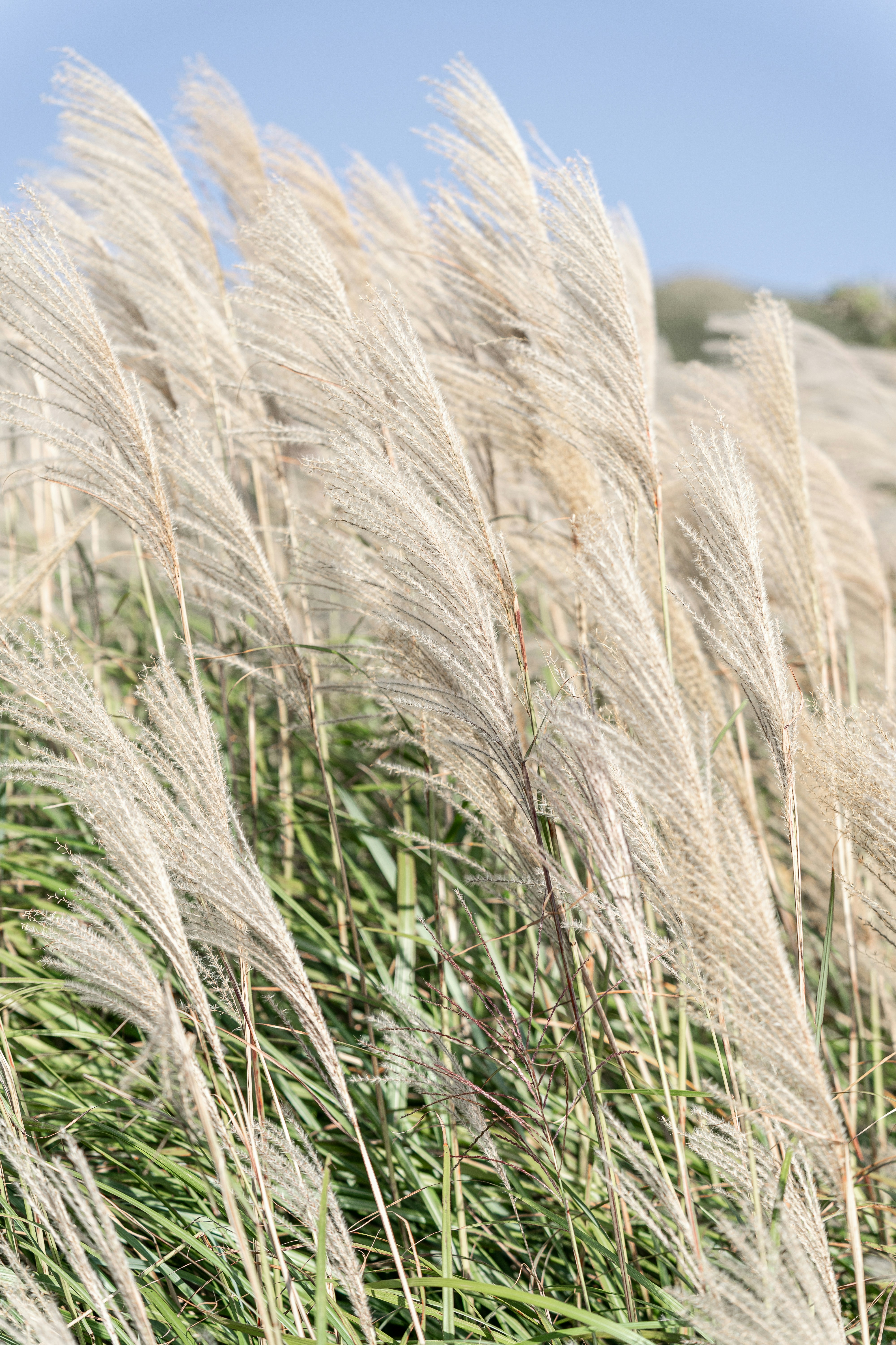 Photo by winstonchen