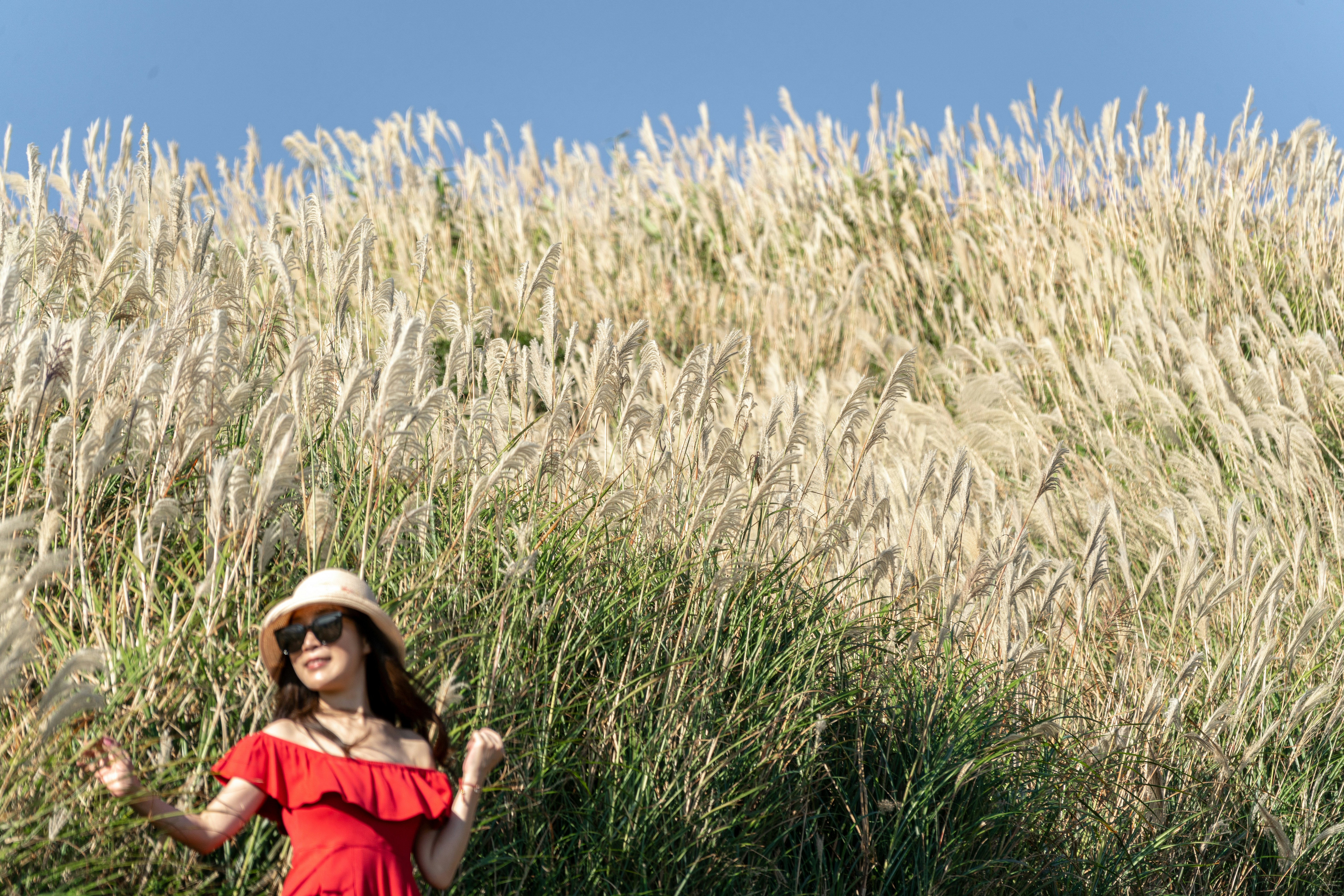 Photo by winstonchen