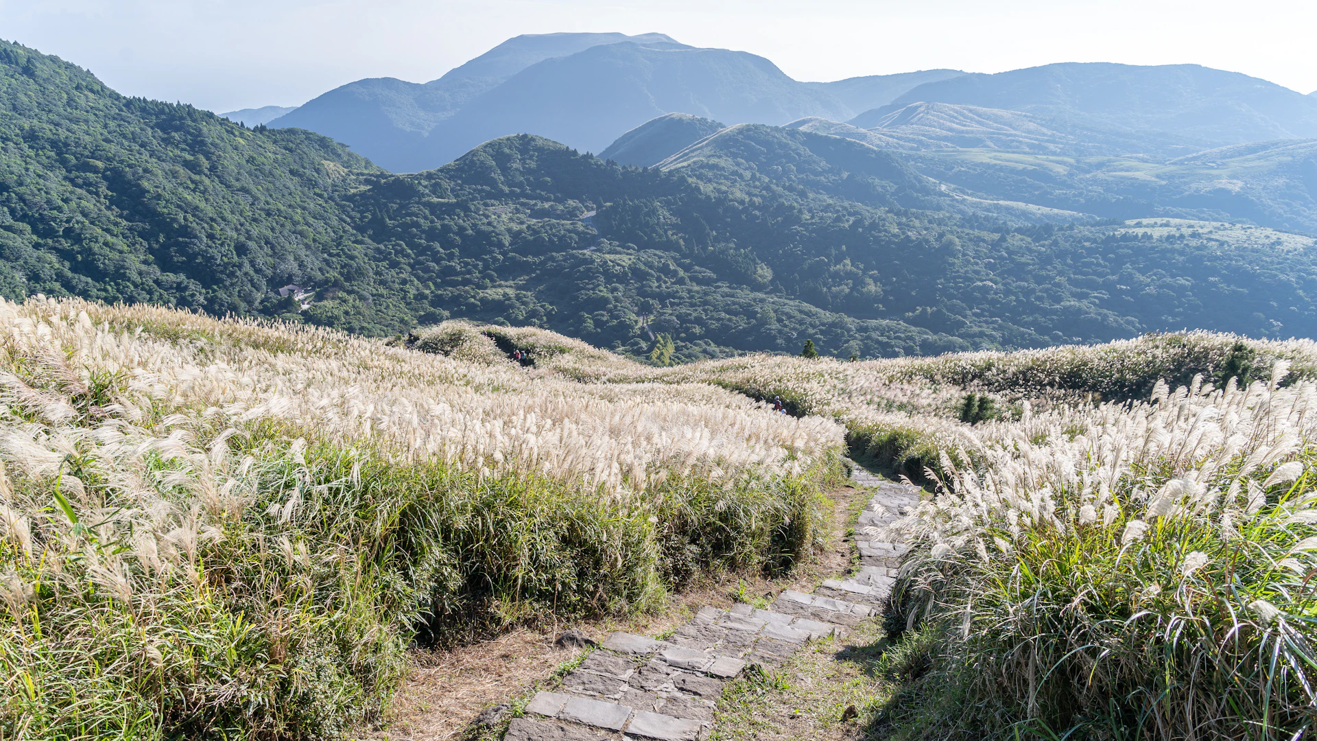 Stone path through tall grasses in rolling hills