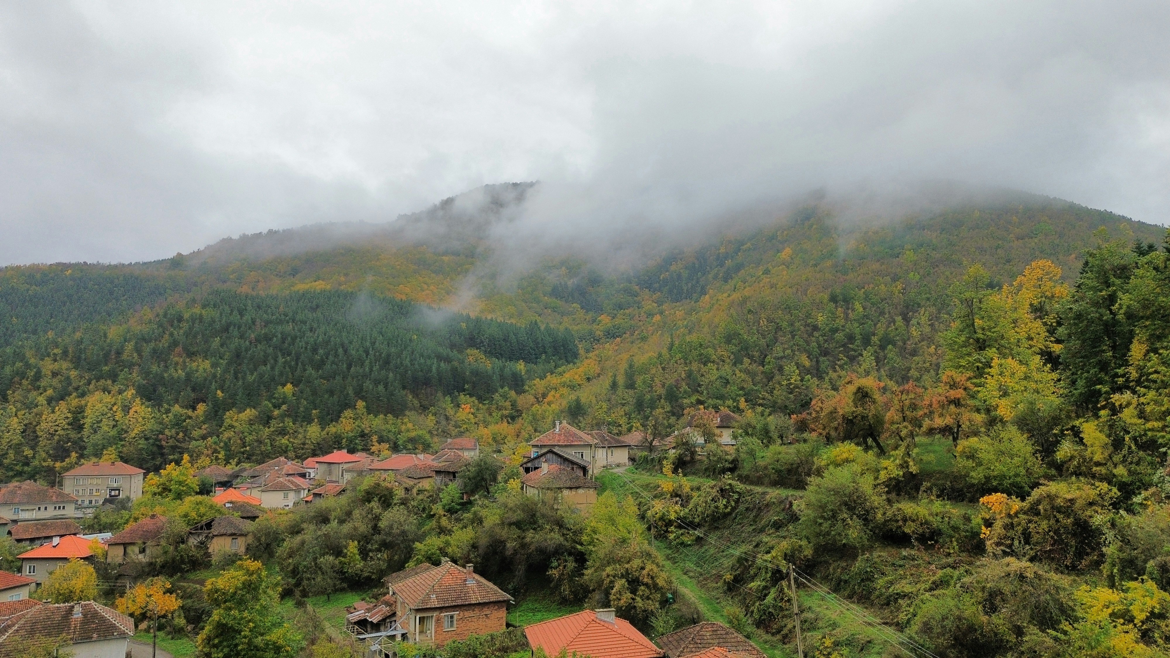 Village nestled in a misty, forested mountain landscape.
