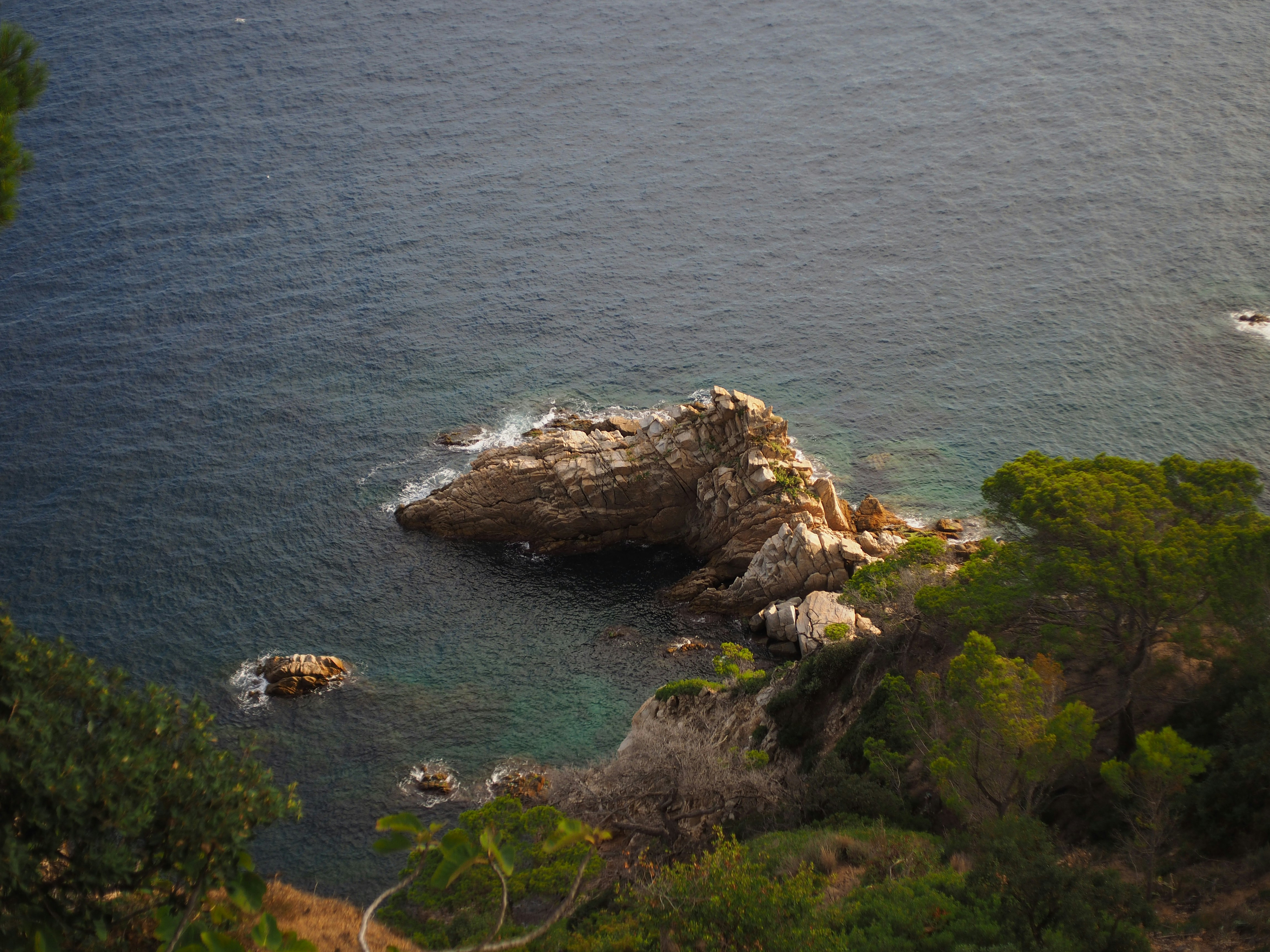 Photo by photographyhues