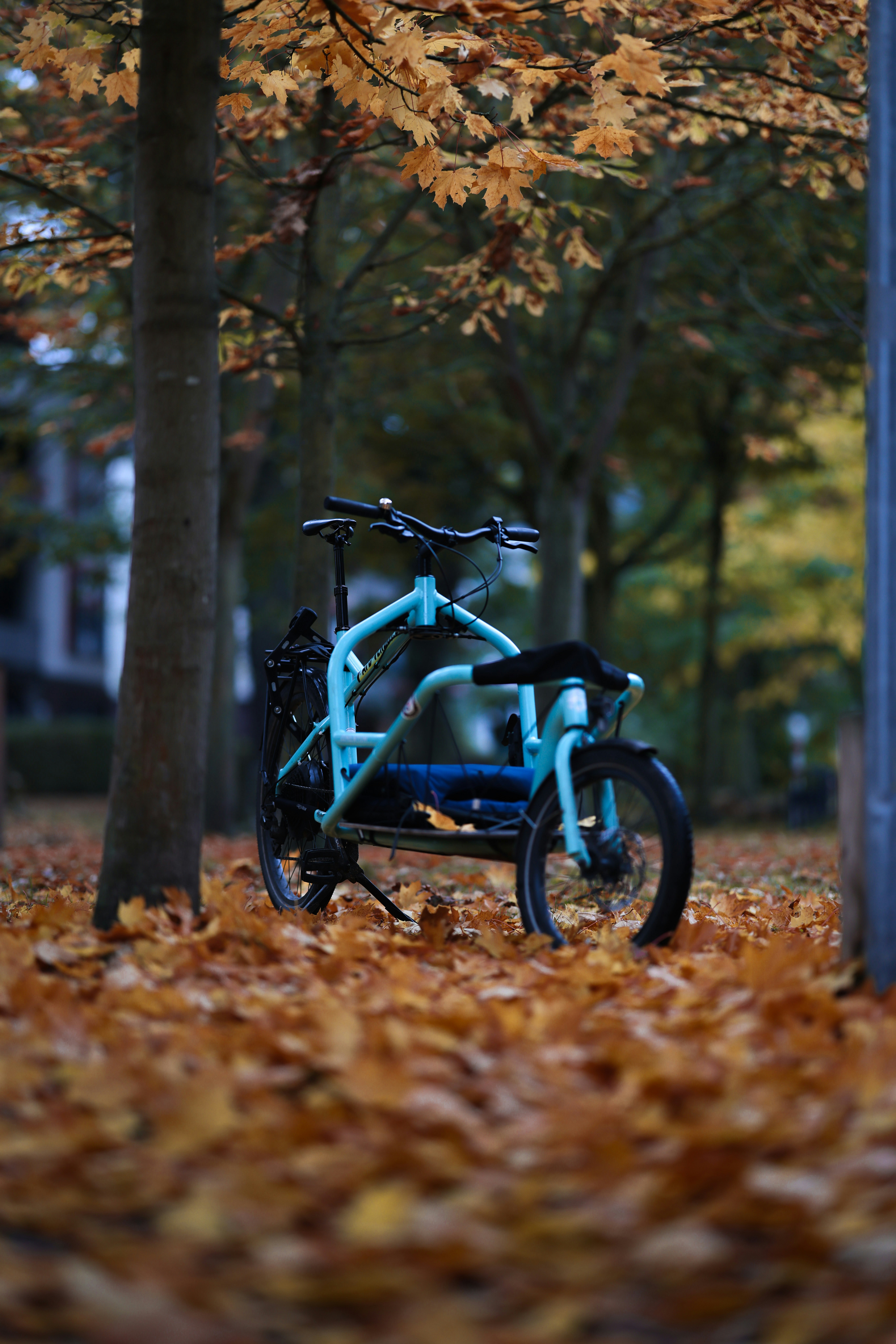 Ein hellblaues Lastenrad ruht zwischen gefallenem Herbstlaub.