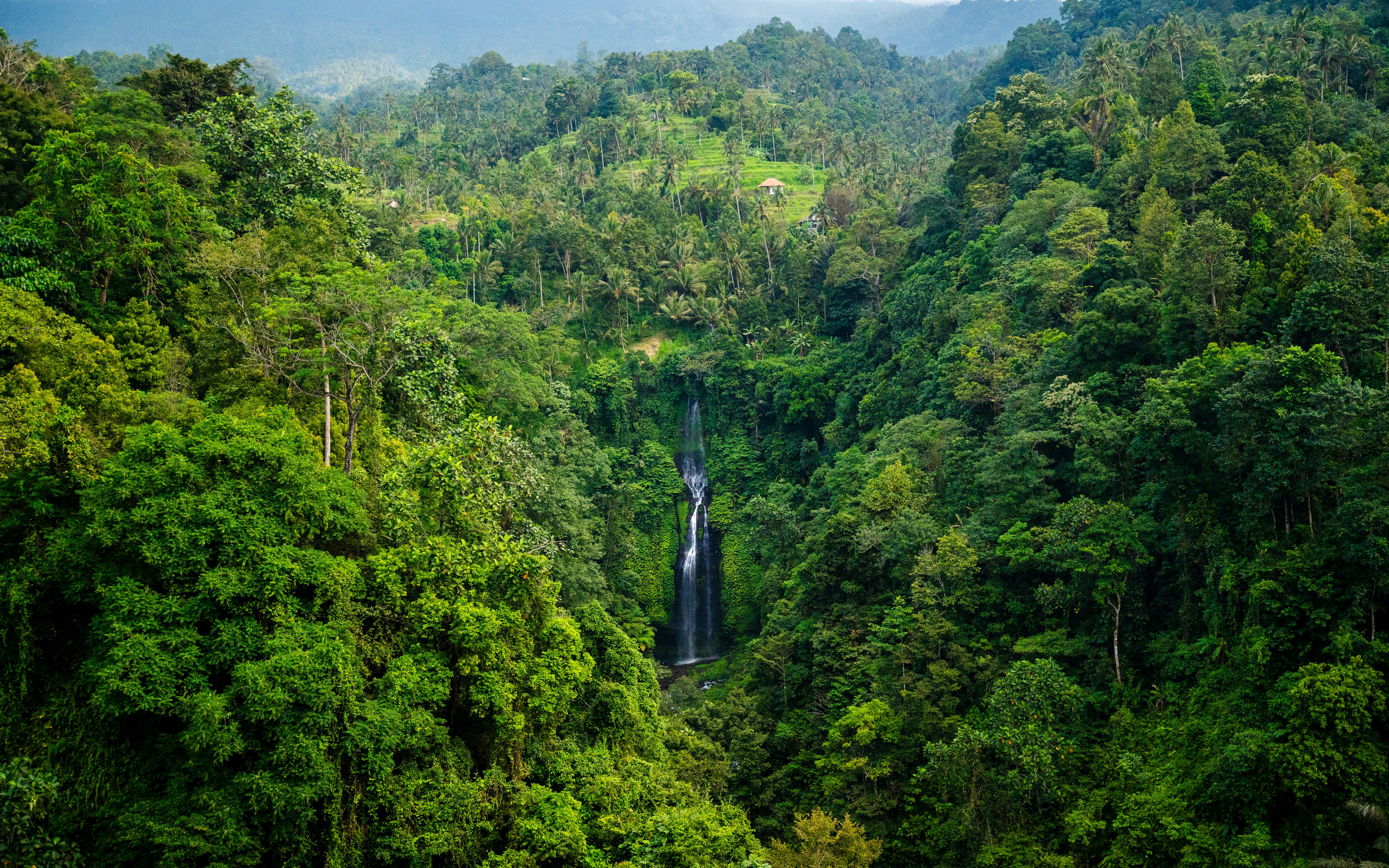 Lush green jungle with a distant waterfall