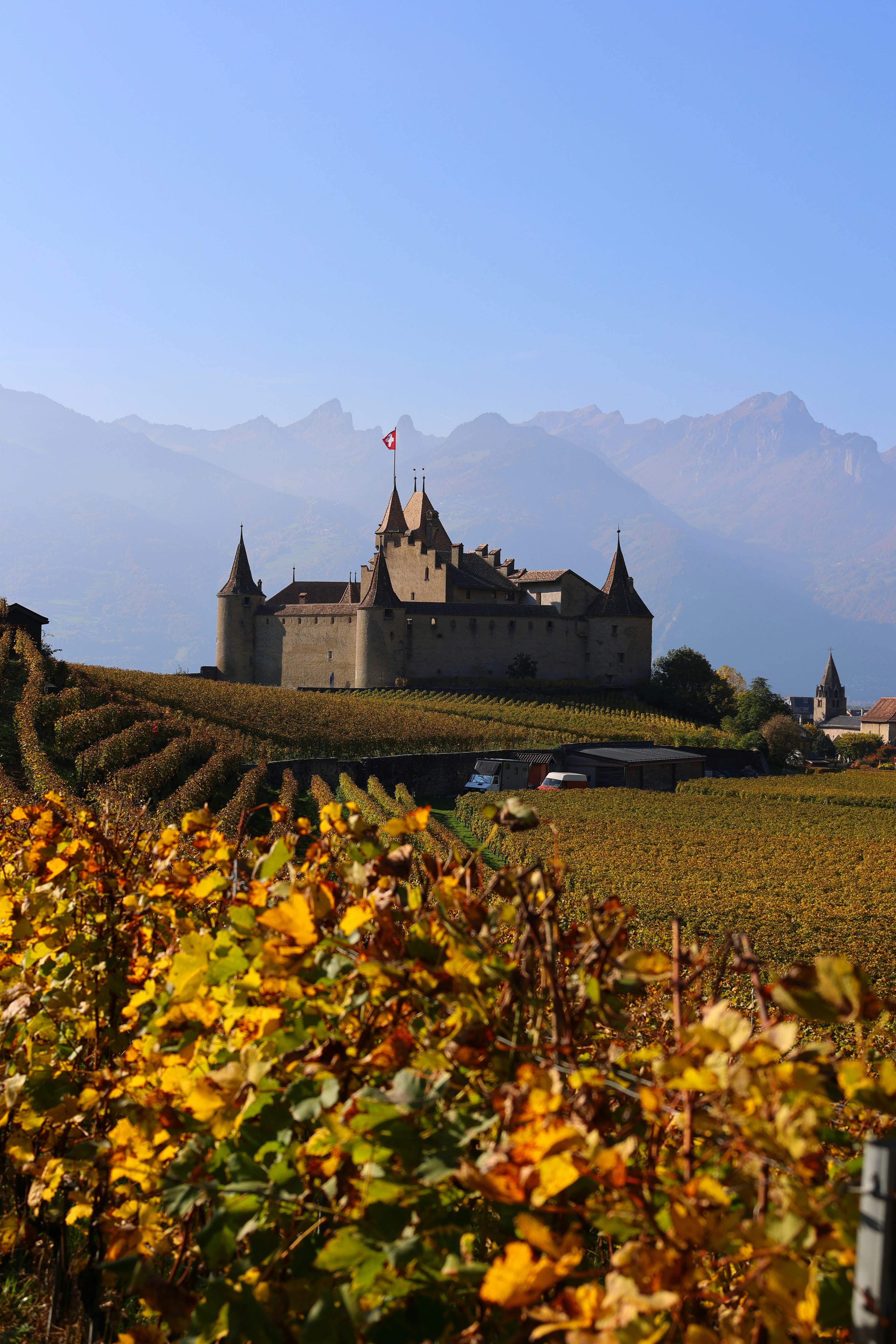 Castle on a hill surrounded by autumn vineyards
