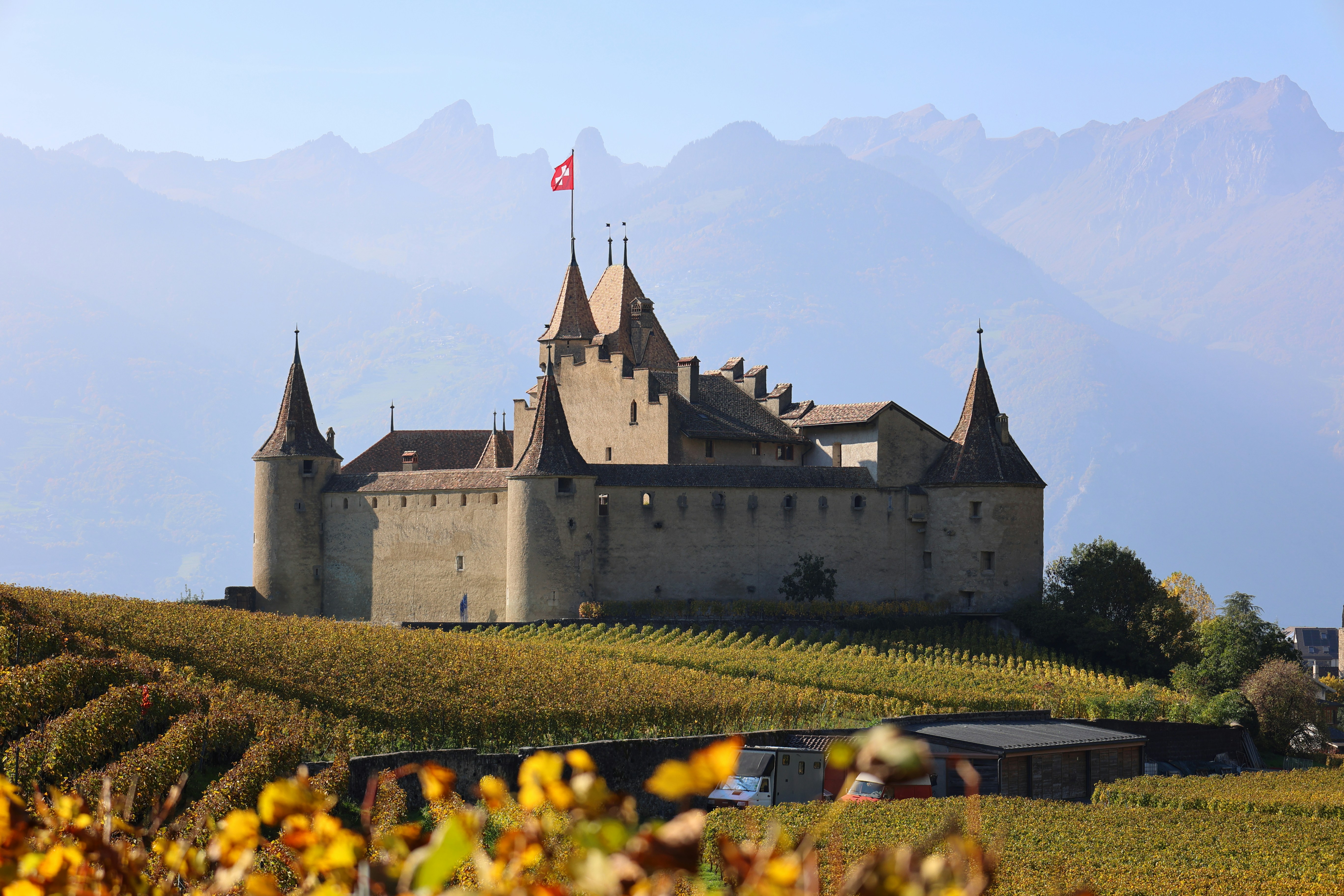 A medieval castle stands on a hill with vineyards.