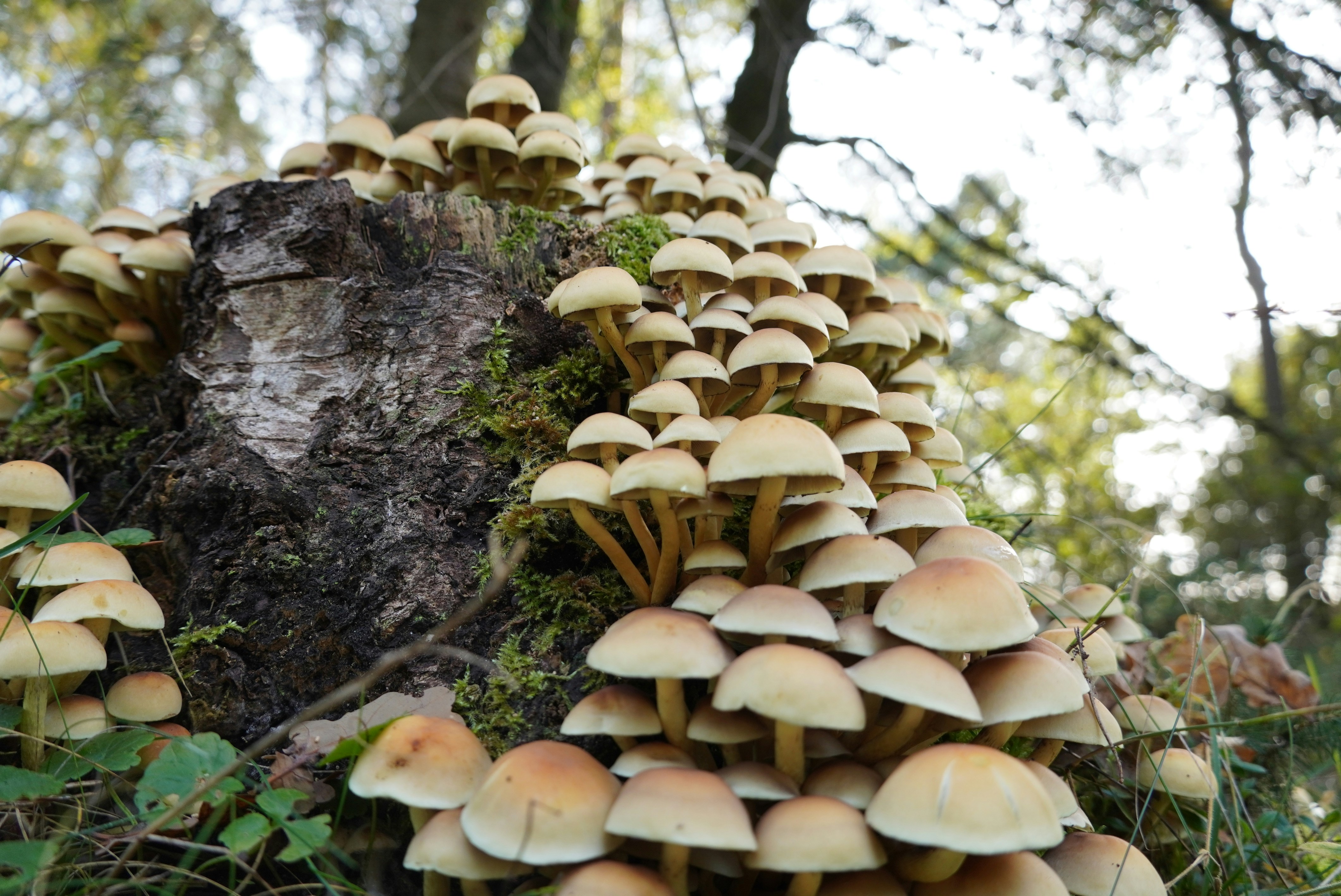 Photo by maartenzaanen