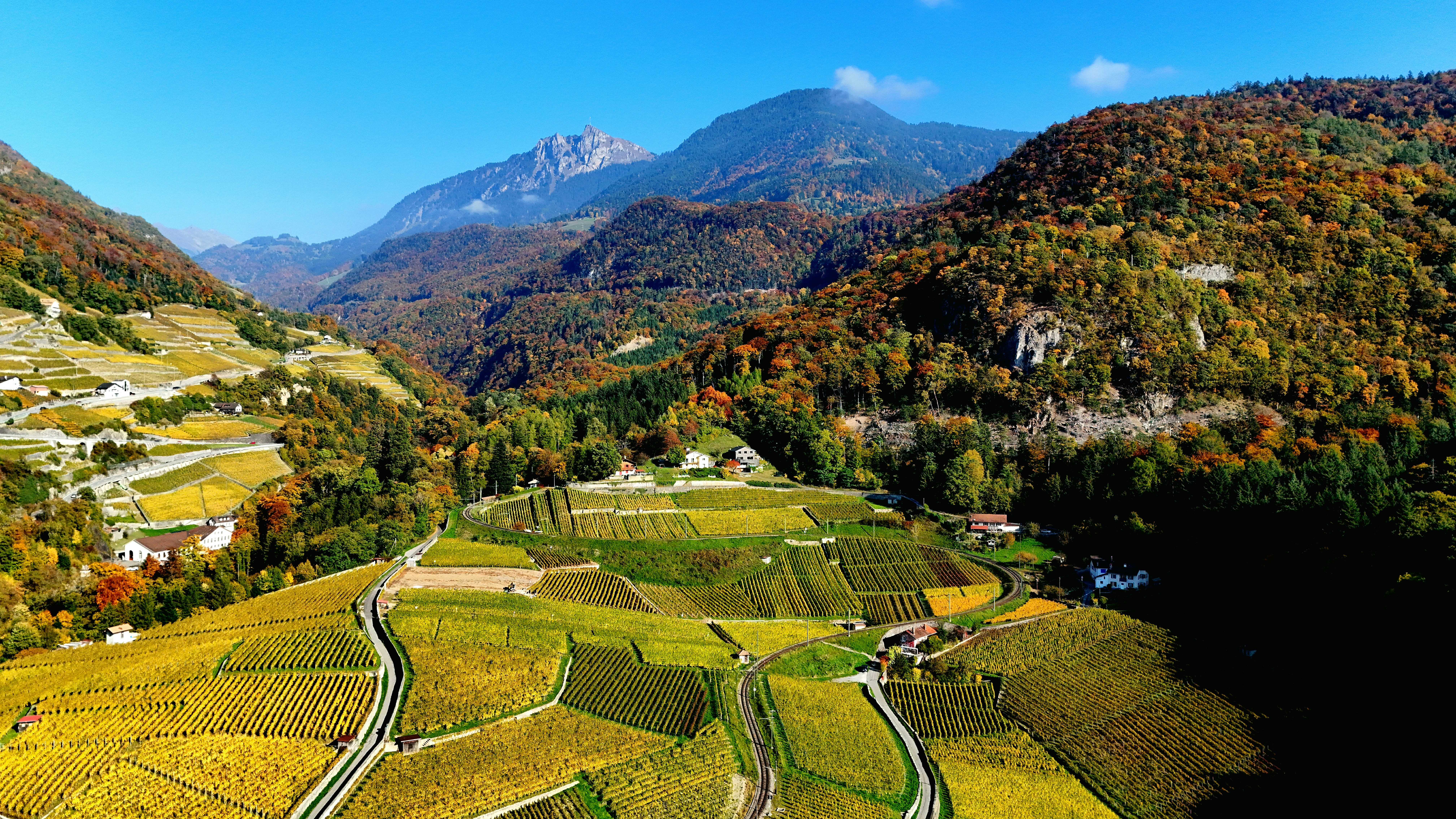 Autumn vineyard terraces in a mountain valley