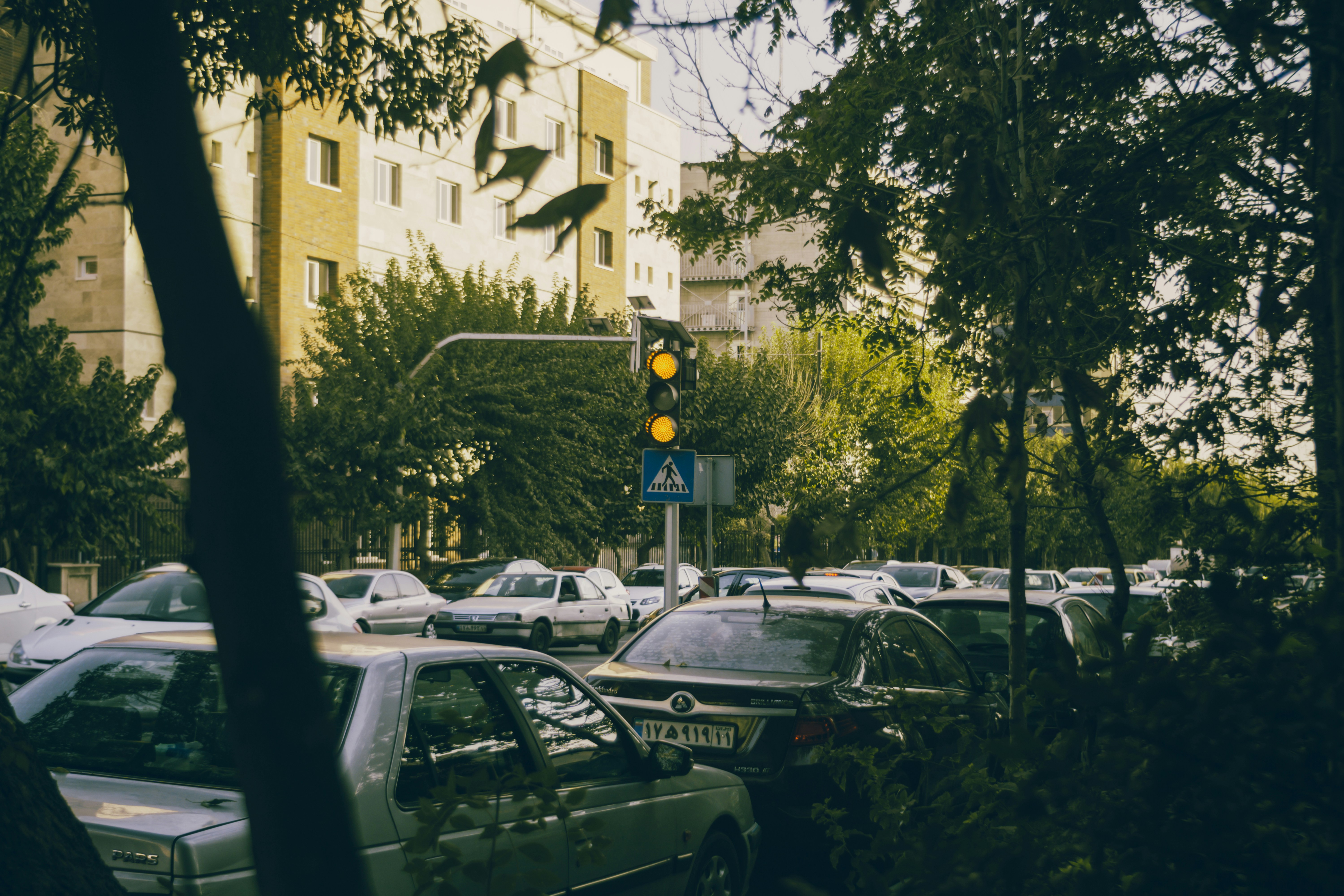 Photo by mdrezajalali