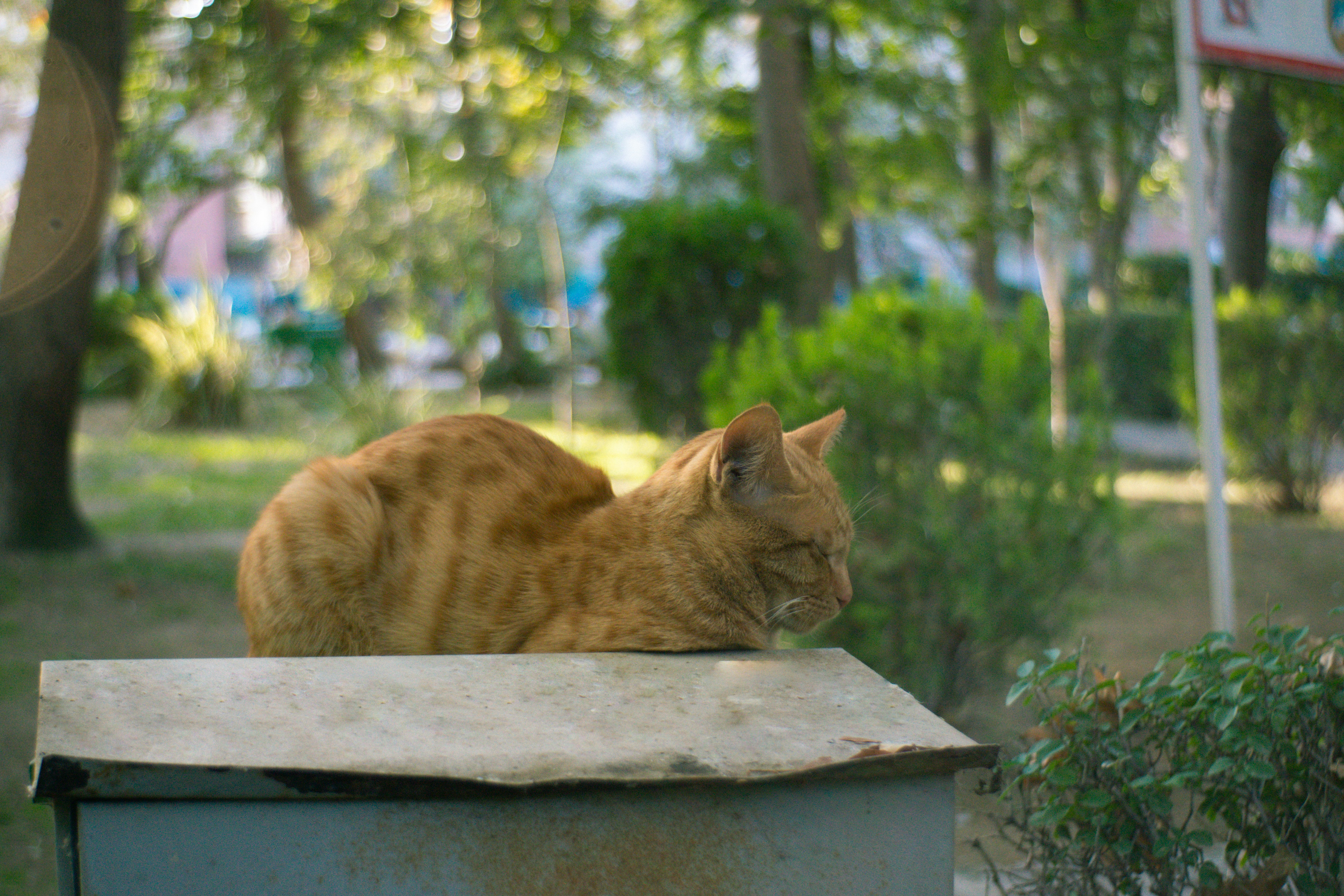 Photo by mdrezajalali