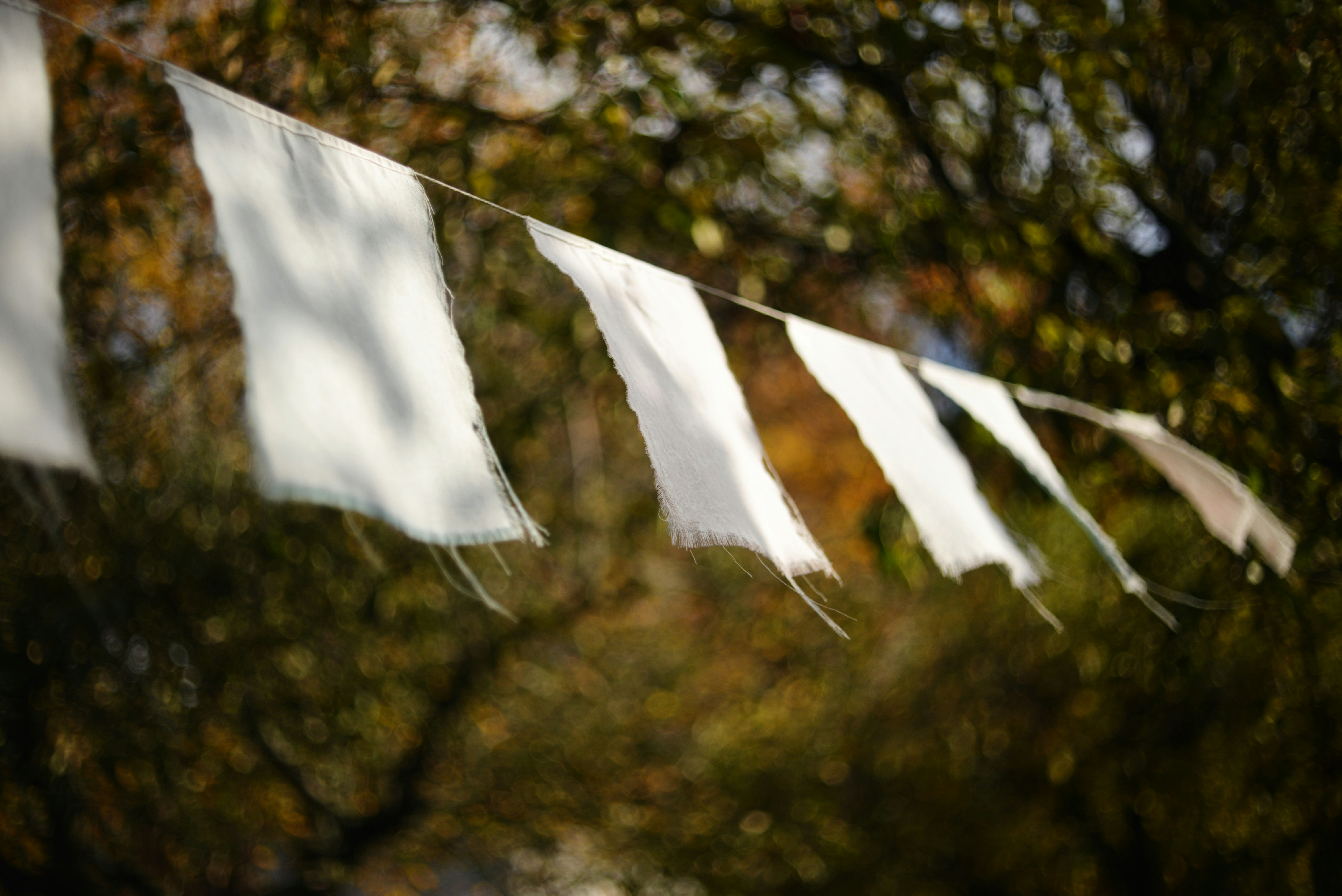 Photo by cherstve_pechivo