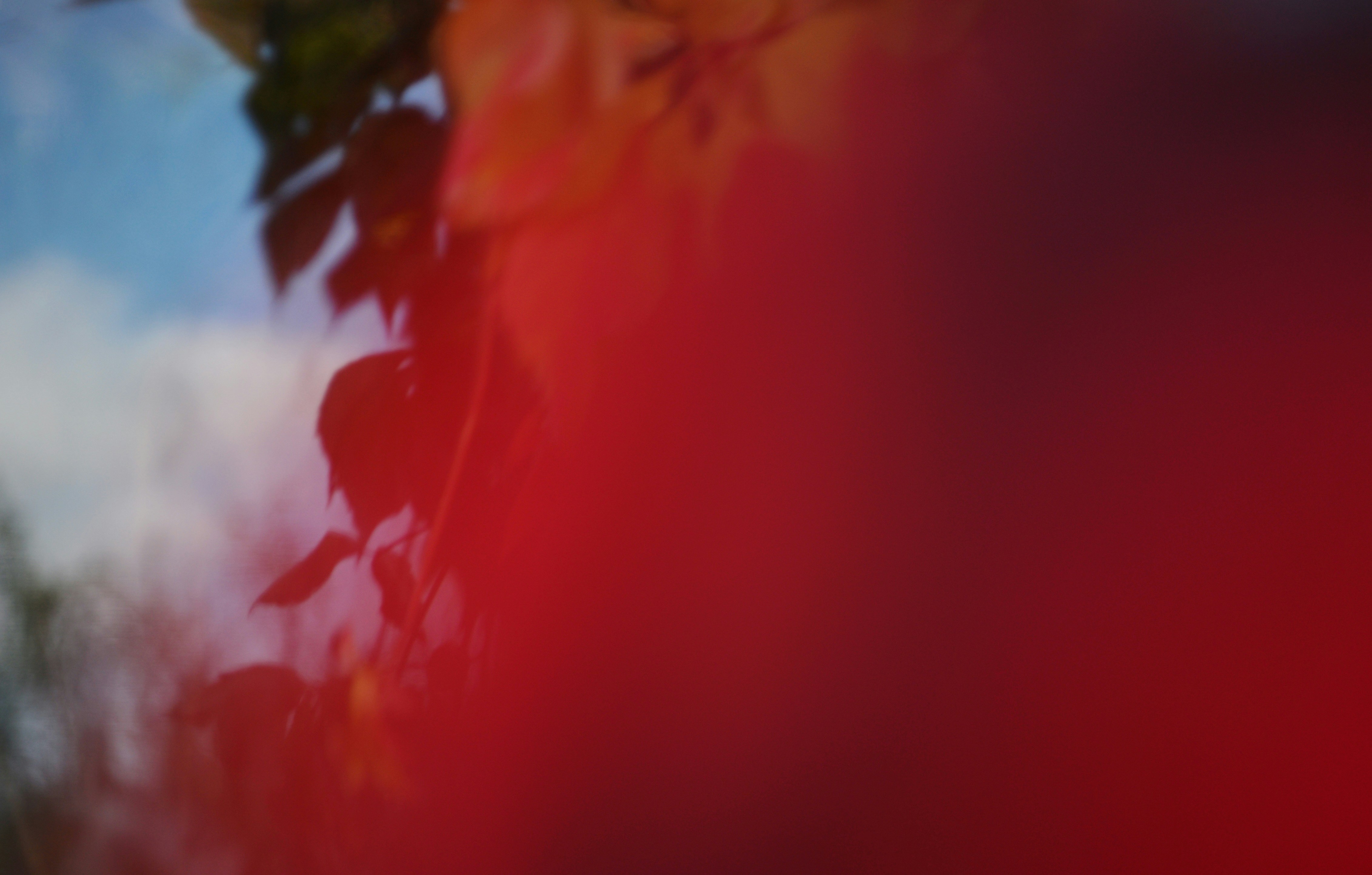 Photo by cherstve_pechivo