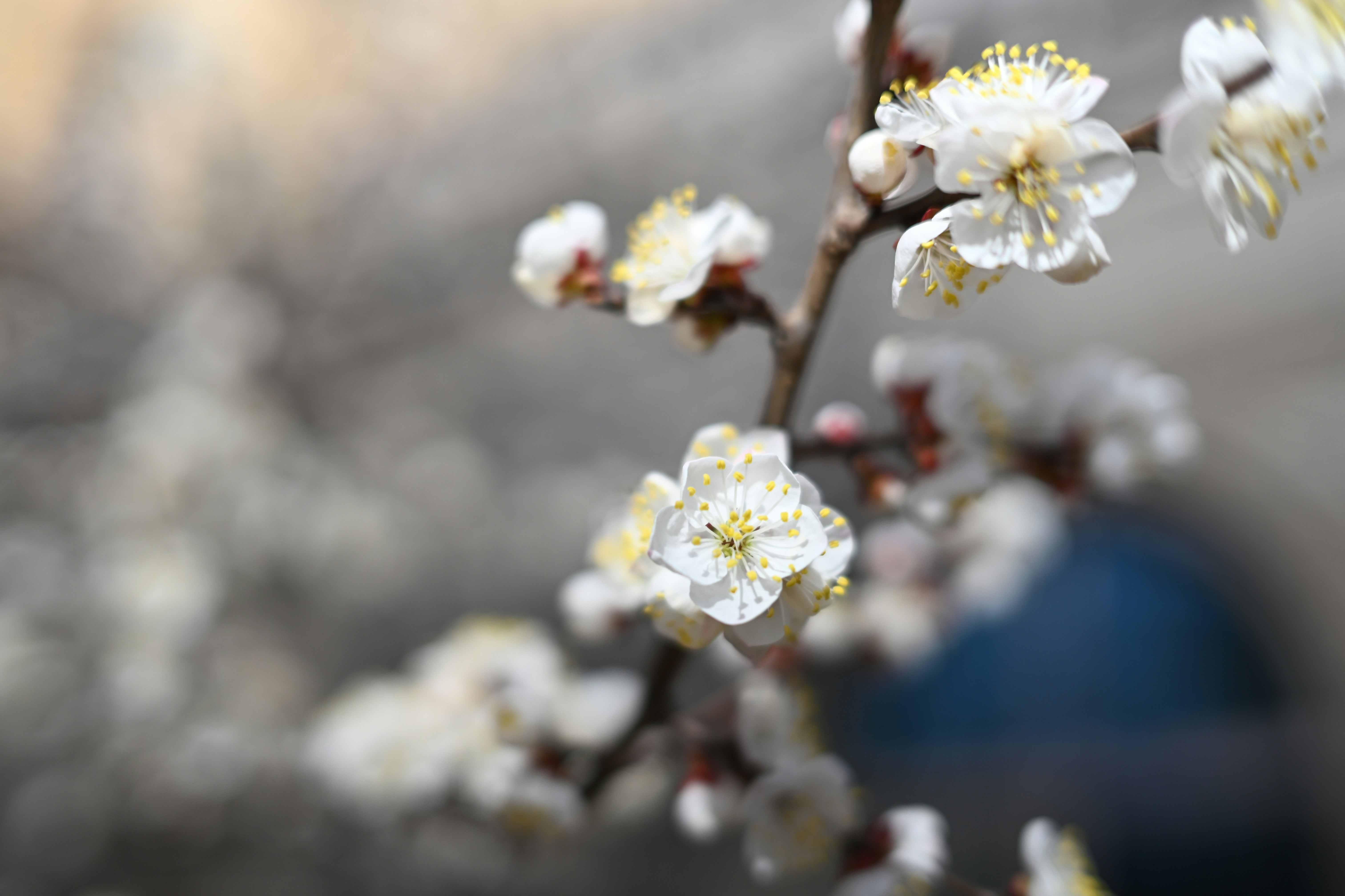 Photo by oneworldsameway