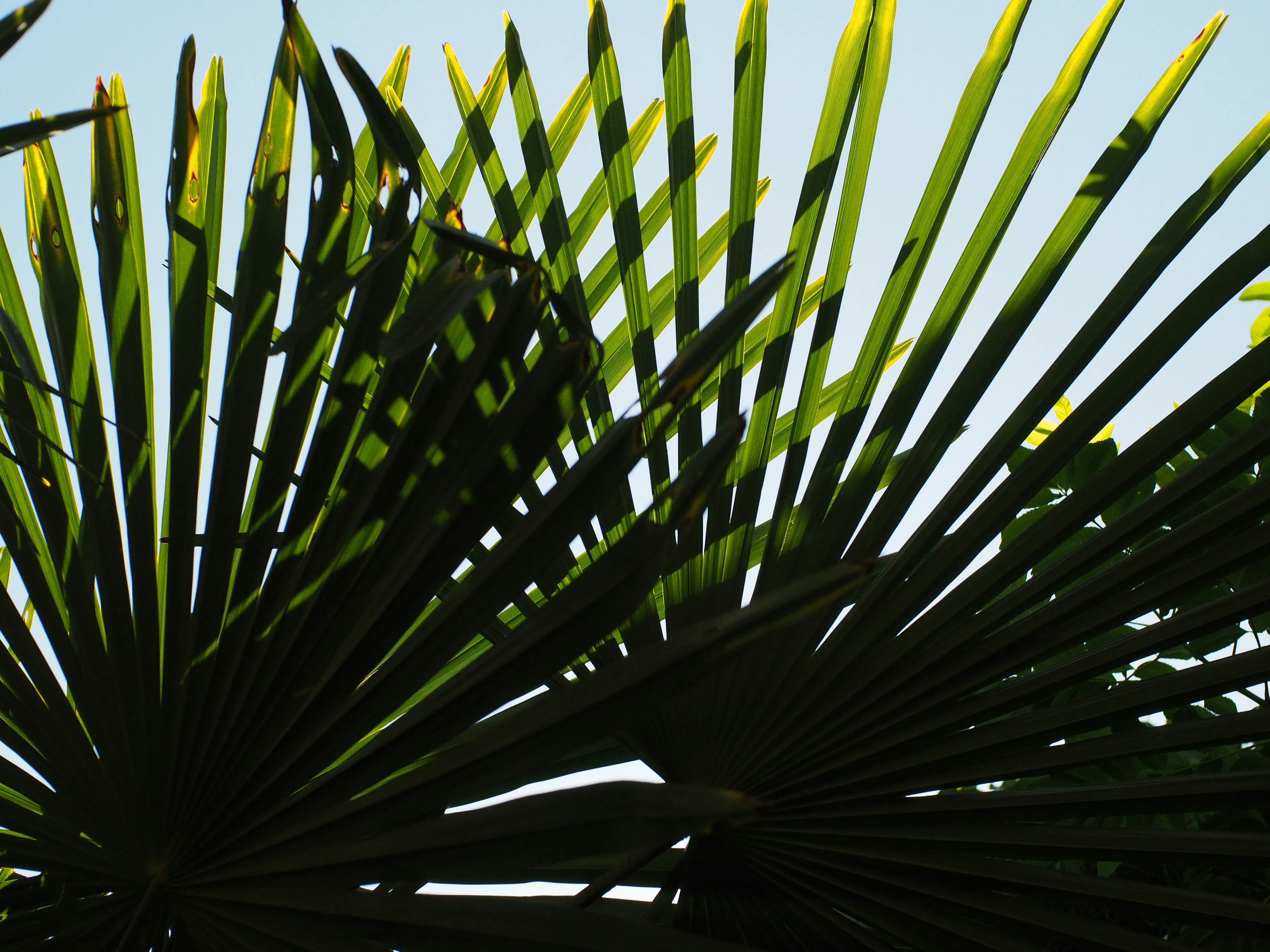 Photo by photographyhues