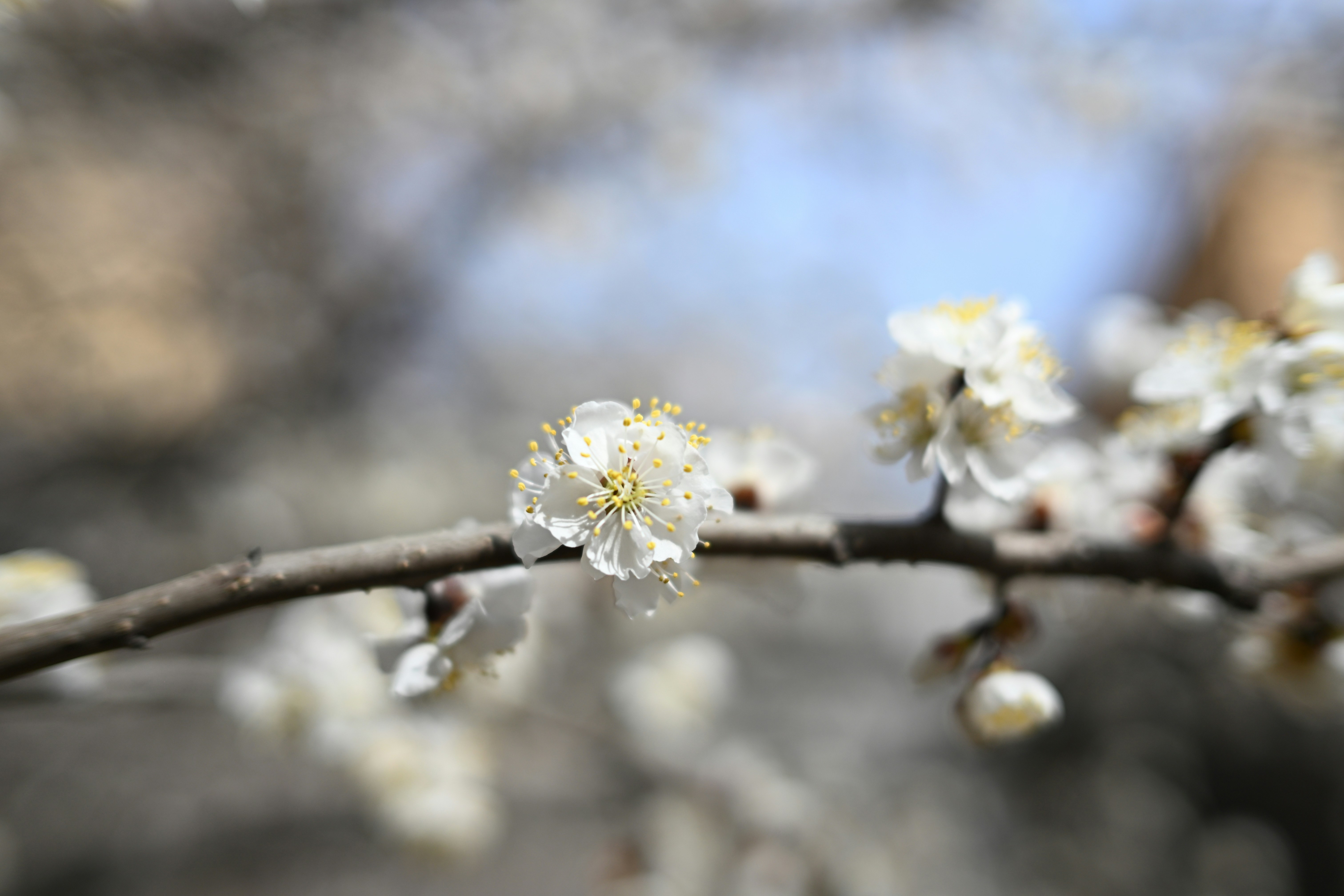 Photo by oneworldsameway