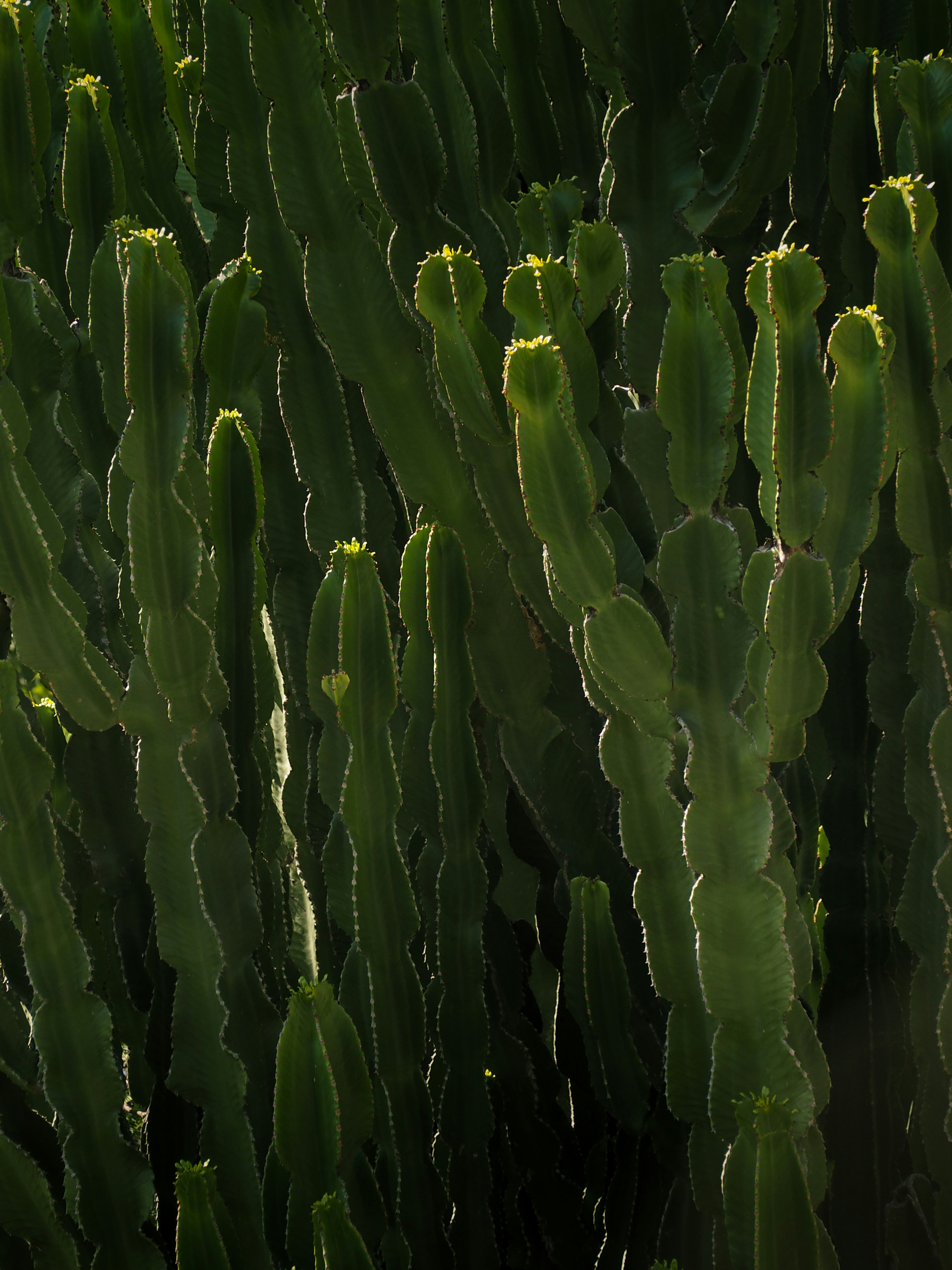 Photo by photographyhues