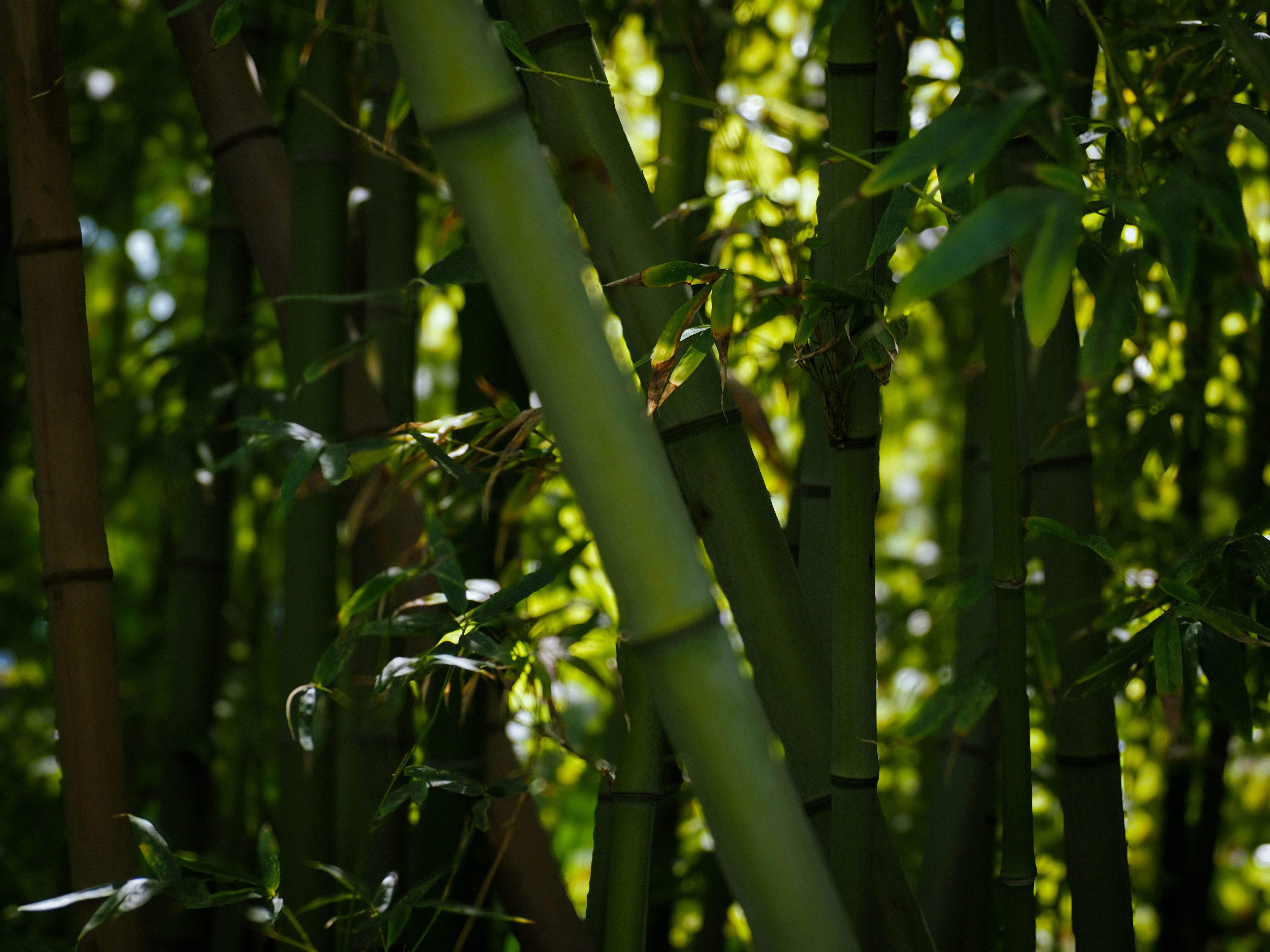 Photo by photographyhues