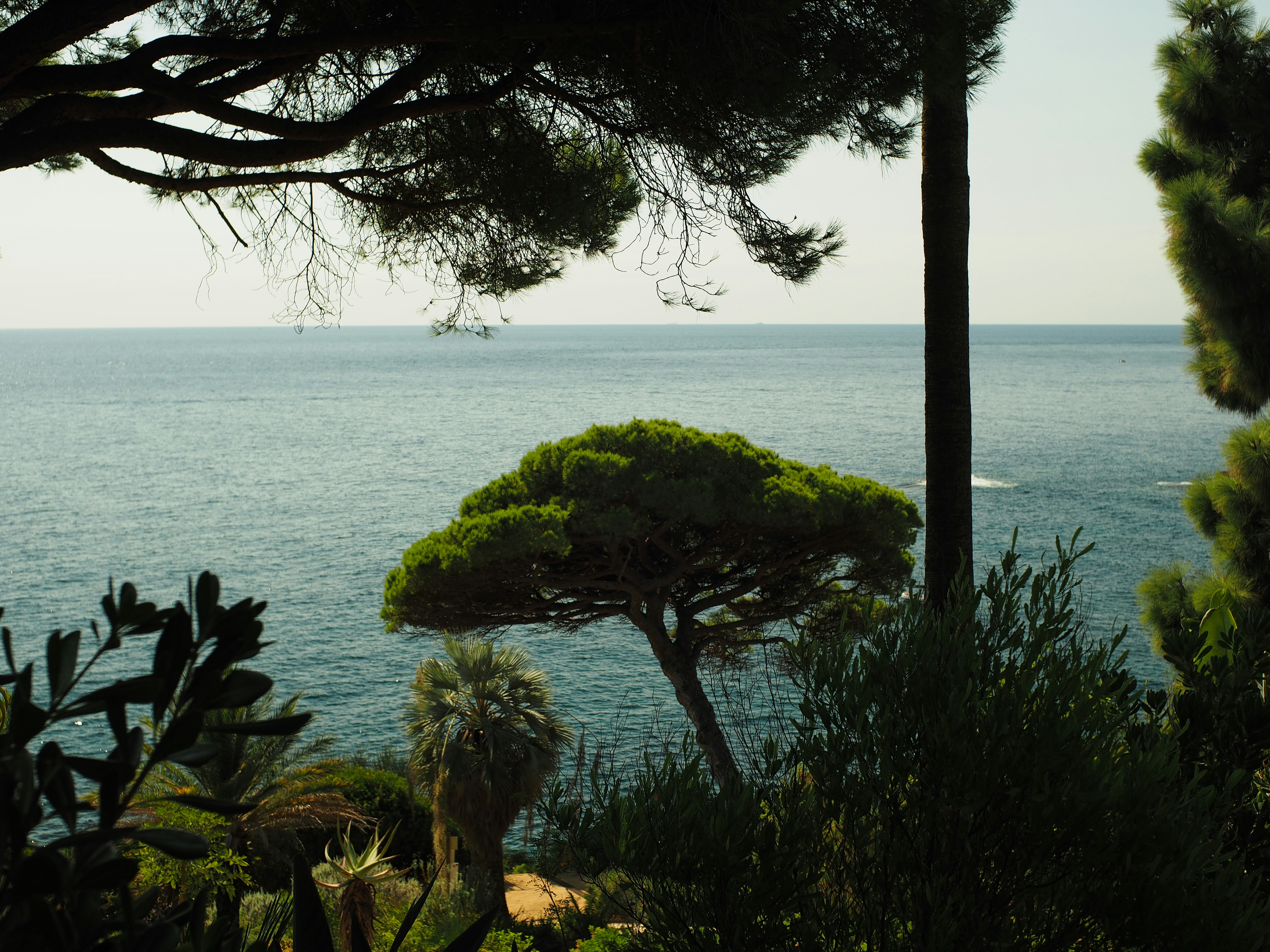 Photo by photographyhues