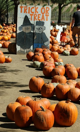 Pumpkins displayed next to a trick or treat sign, a reminder of free and ticketed Halloween events across Las Vegas