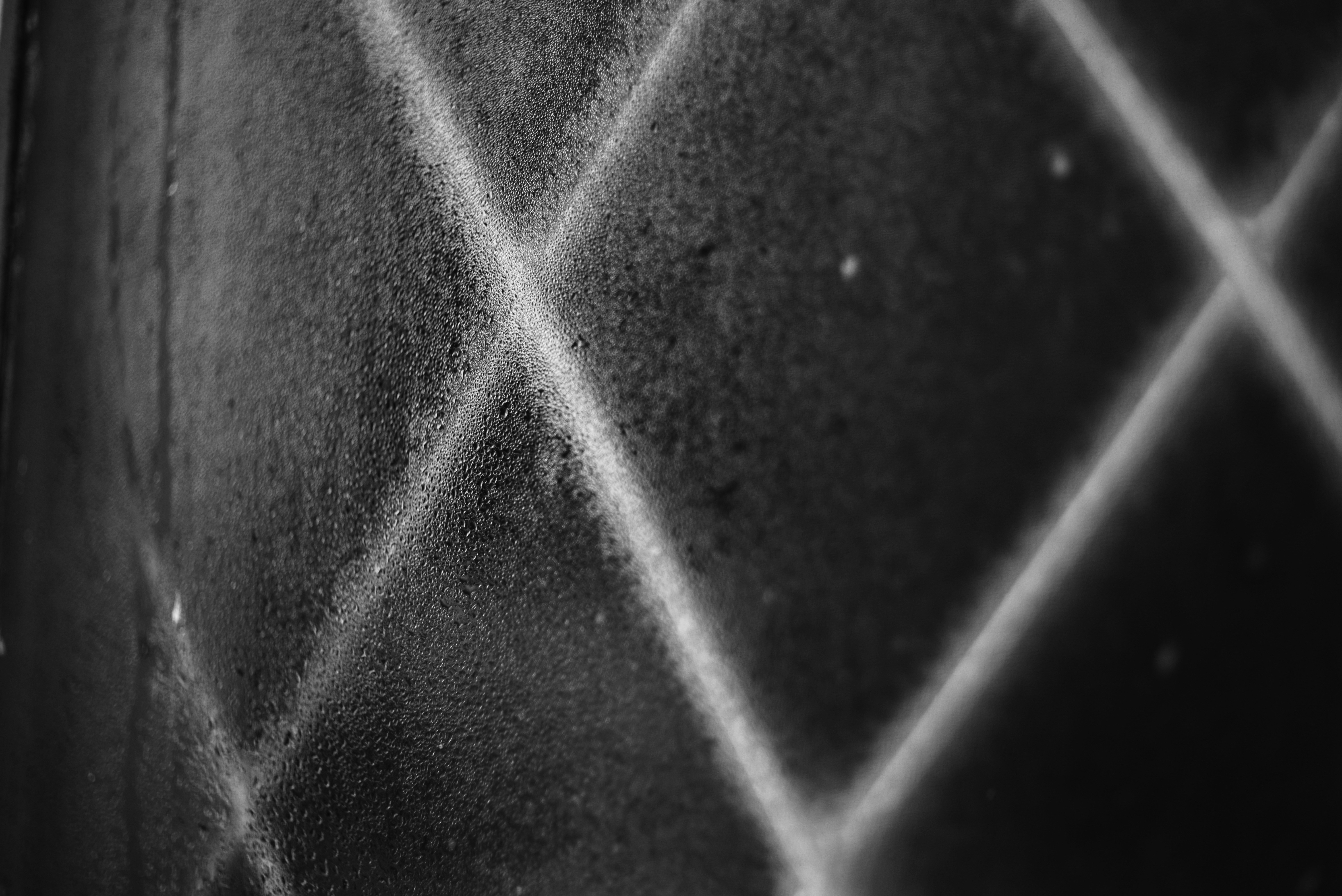 Photo by Liana S on unsplash
