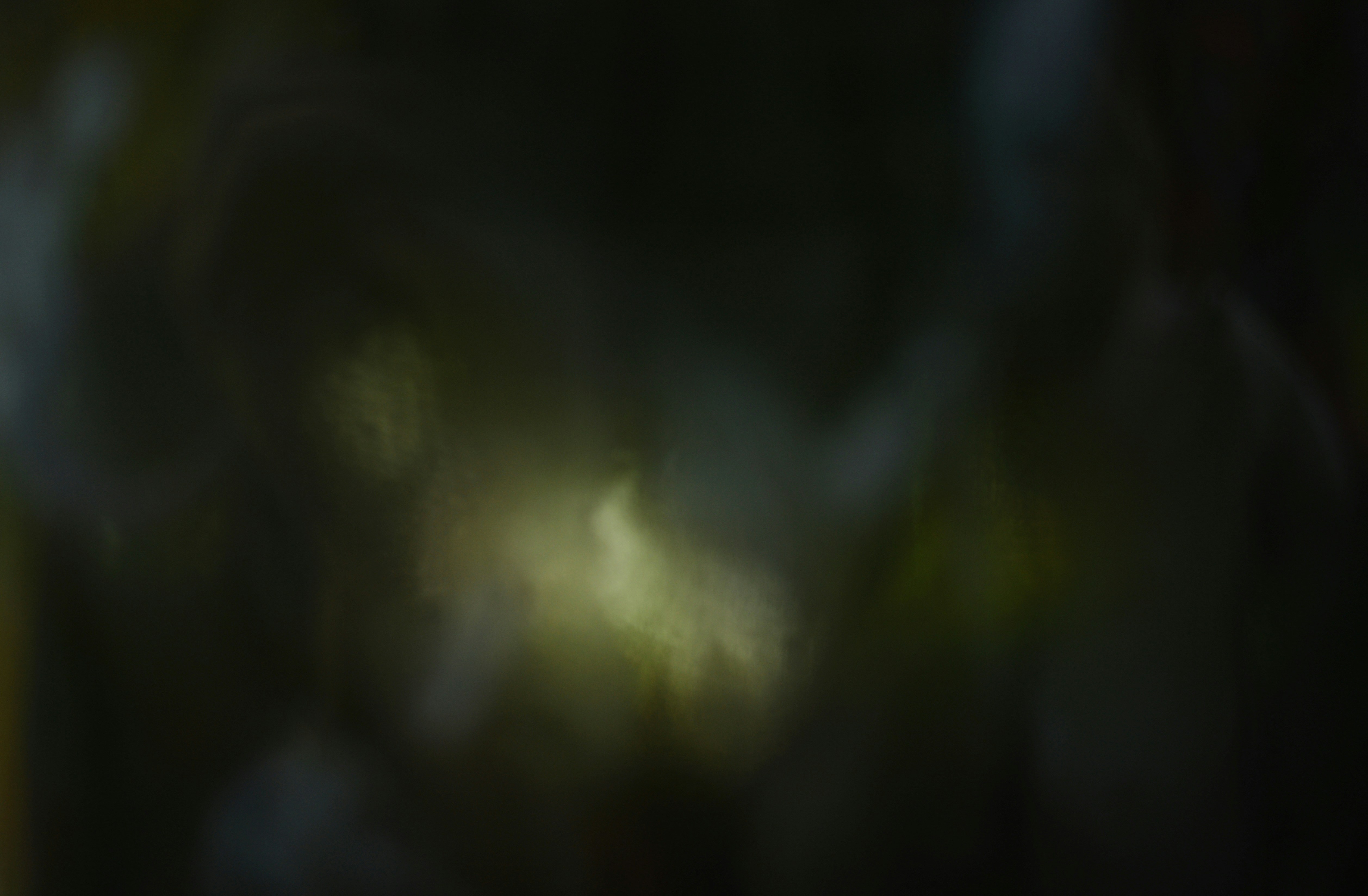 Photo by cherstve_pechivo