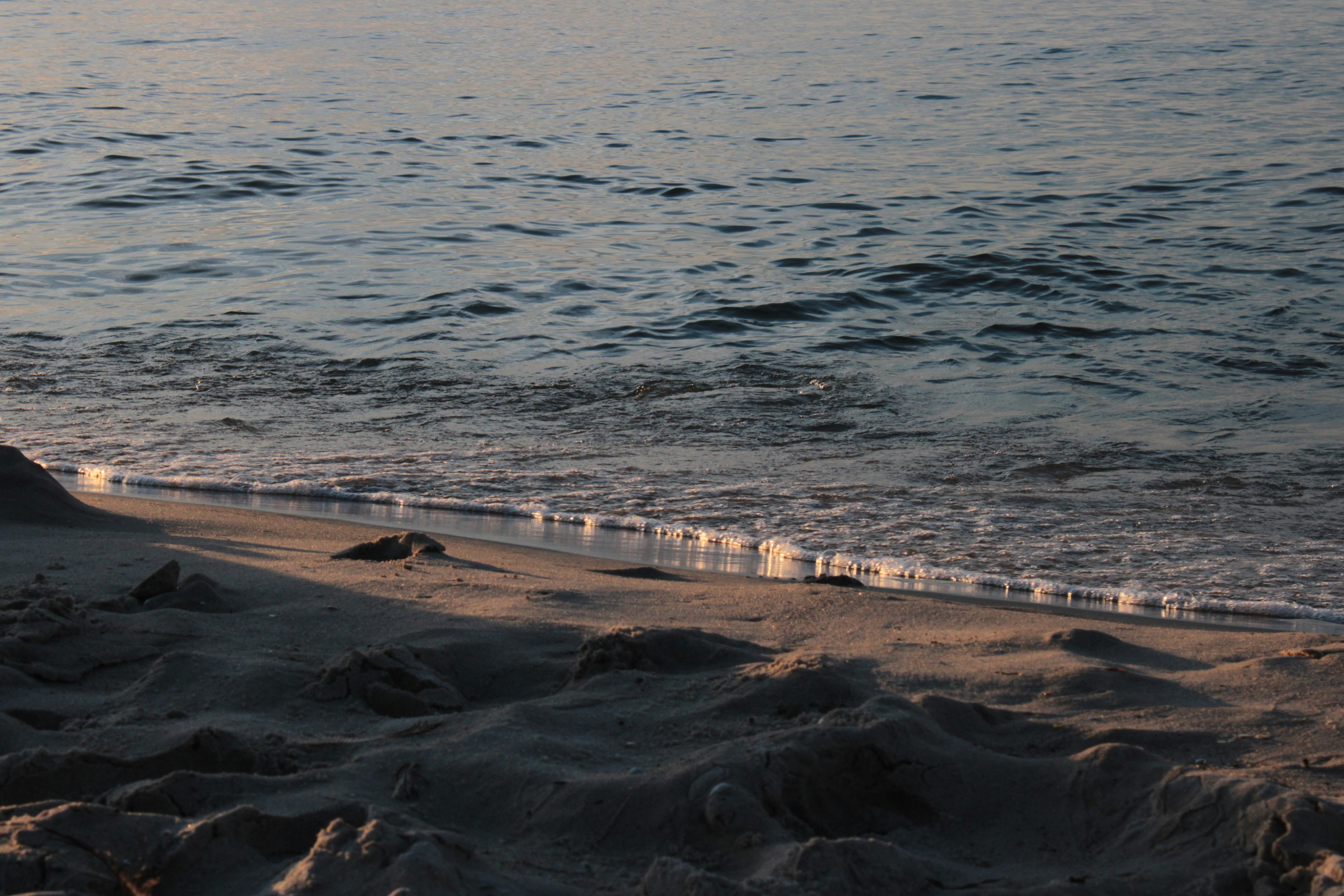 Photo by yuliiamedvedieva