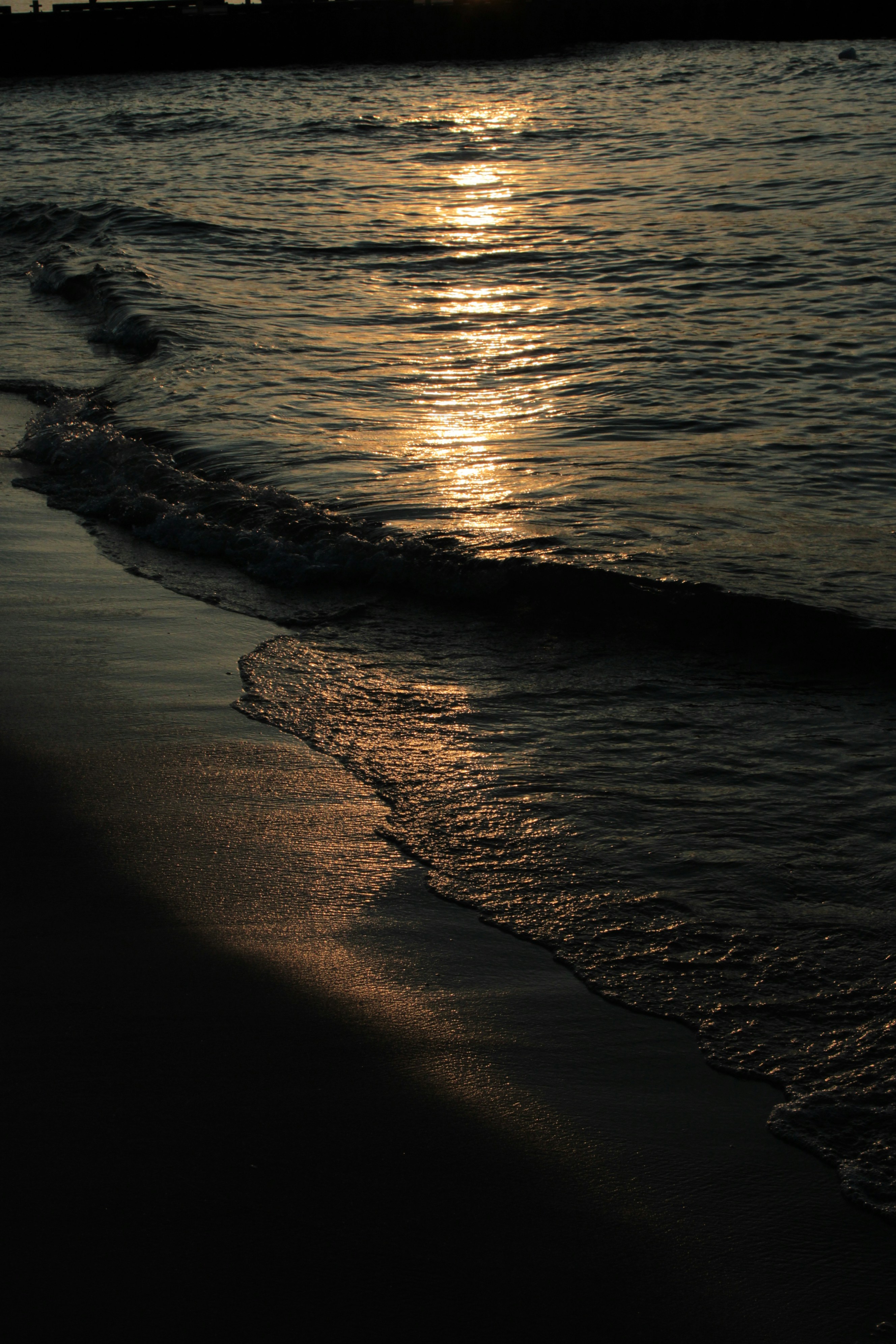 Photo by yuliiamedvedieva