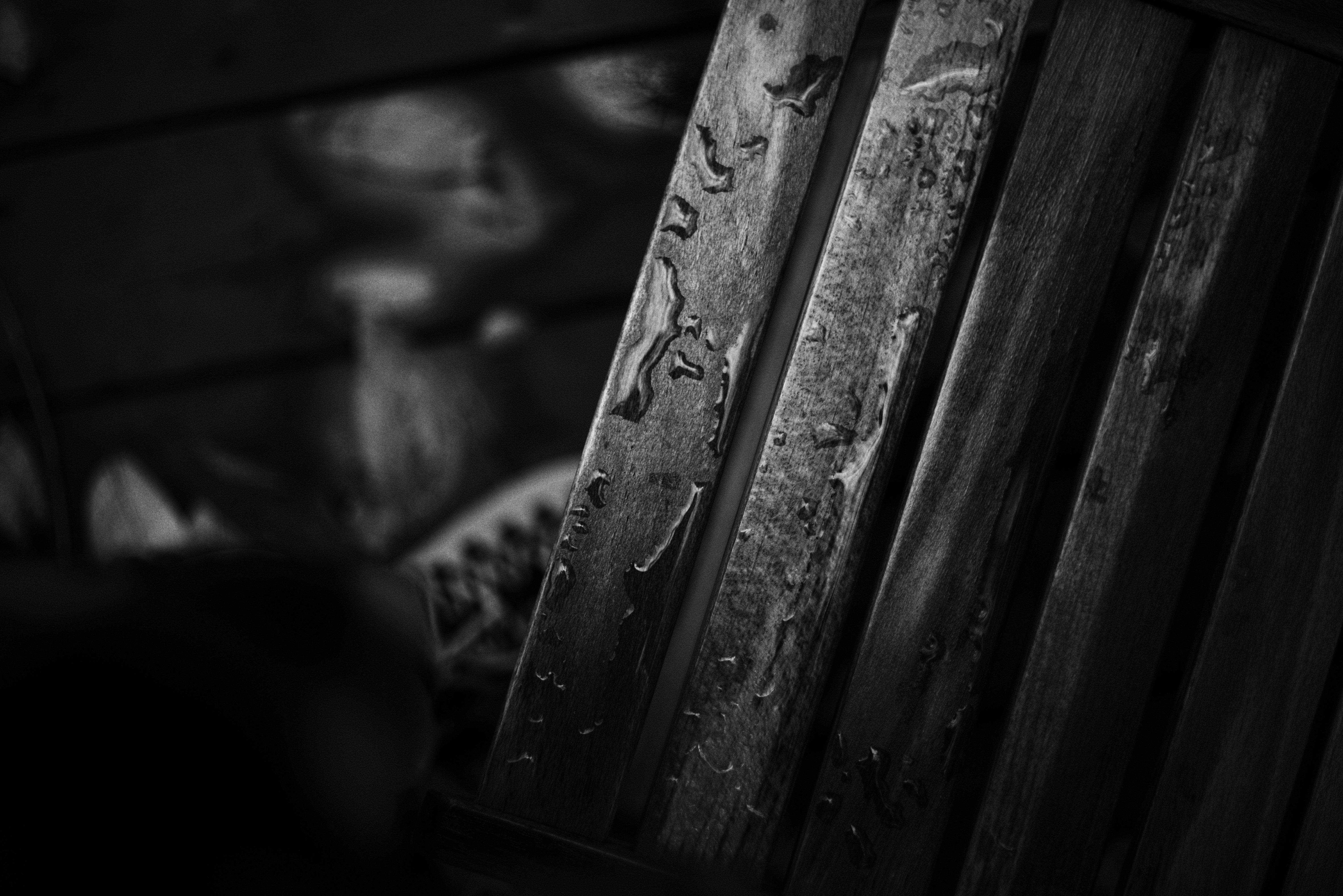 Photo by cherstve_pechivo