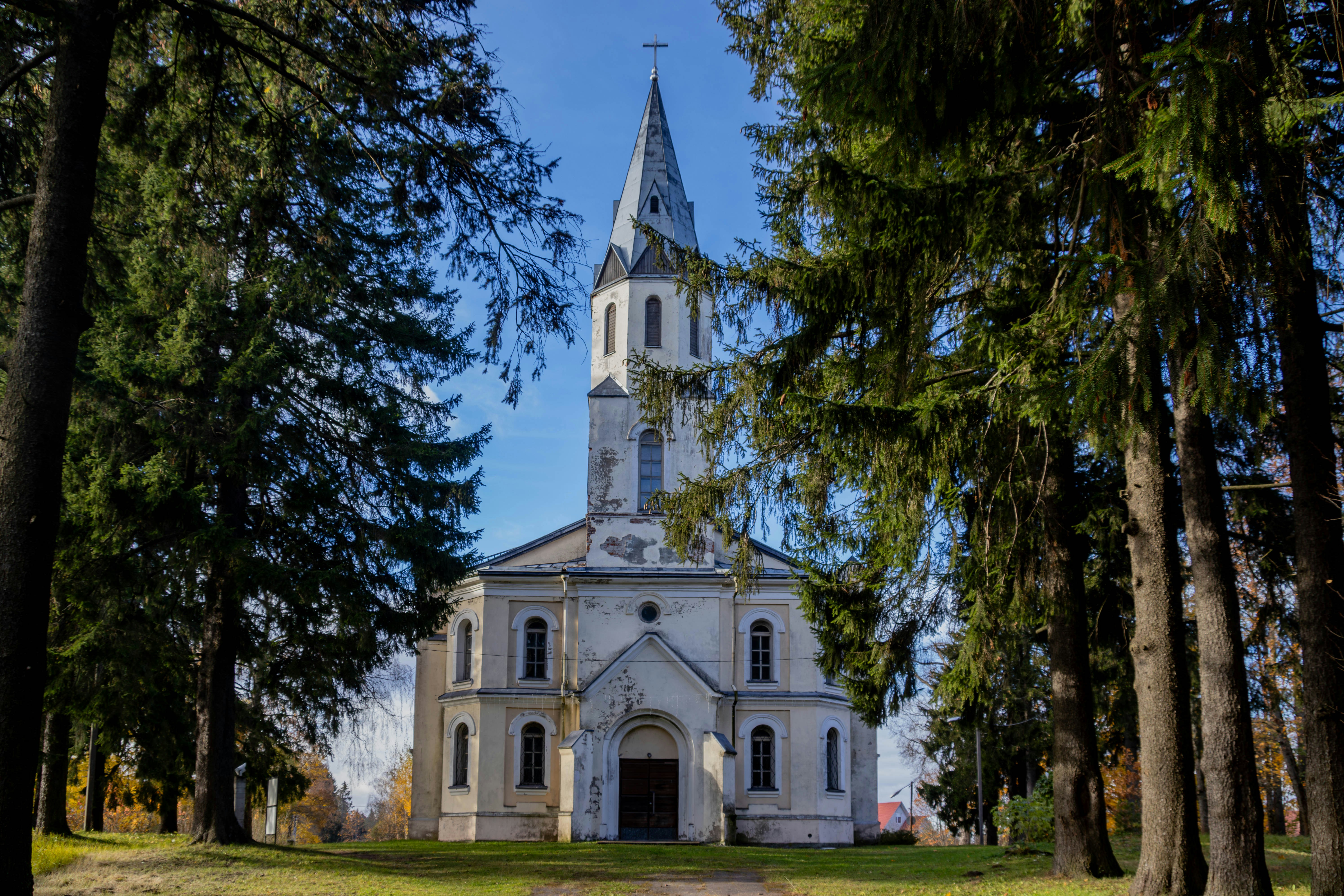 A white church with a tall spire surrounded by trees.