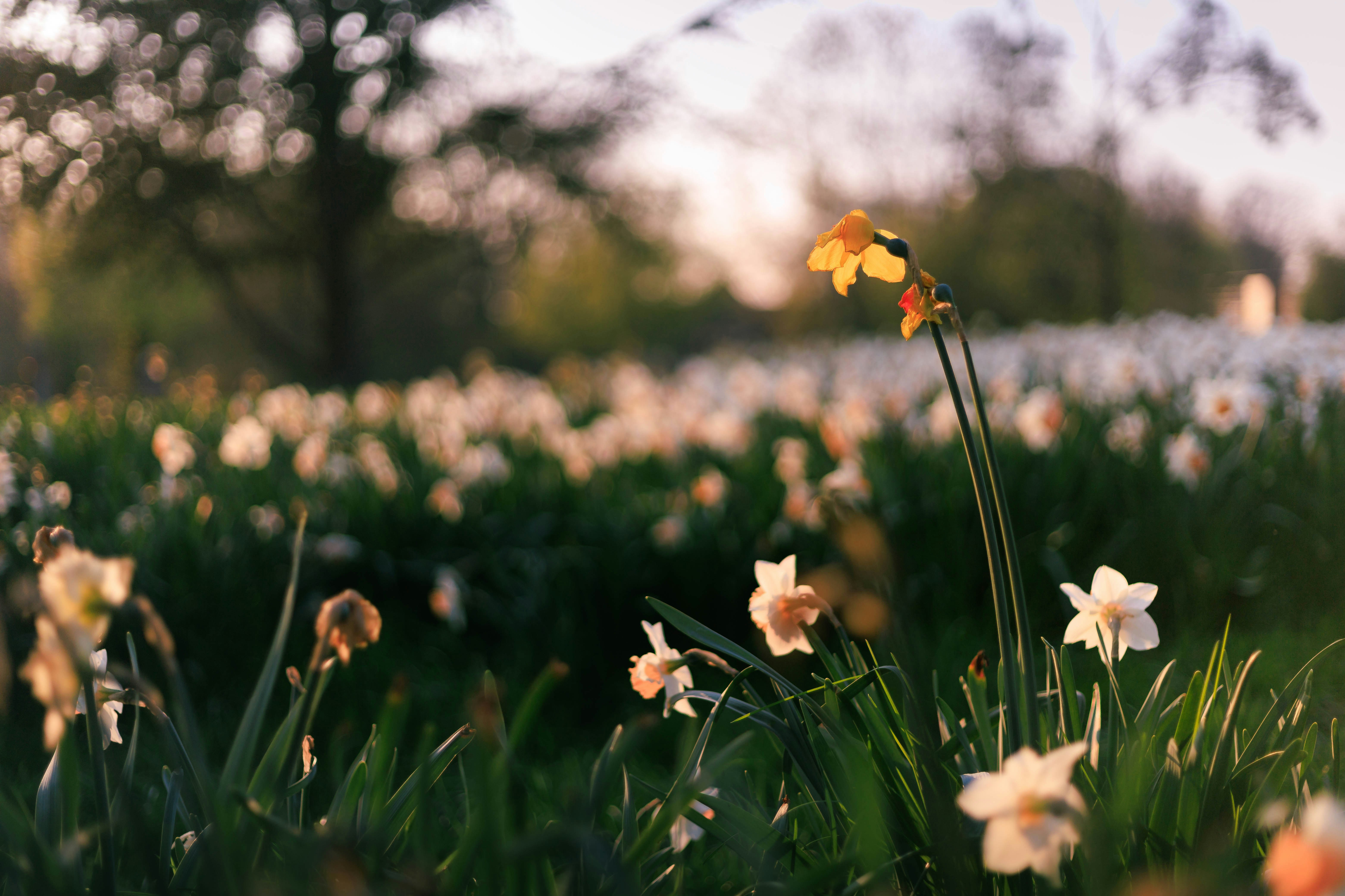 Photo by nyhasinavalona