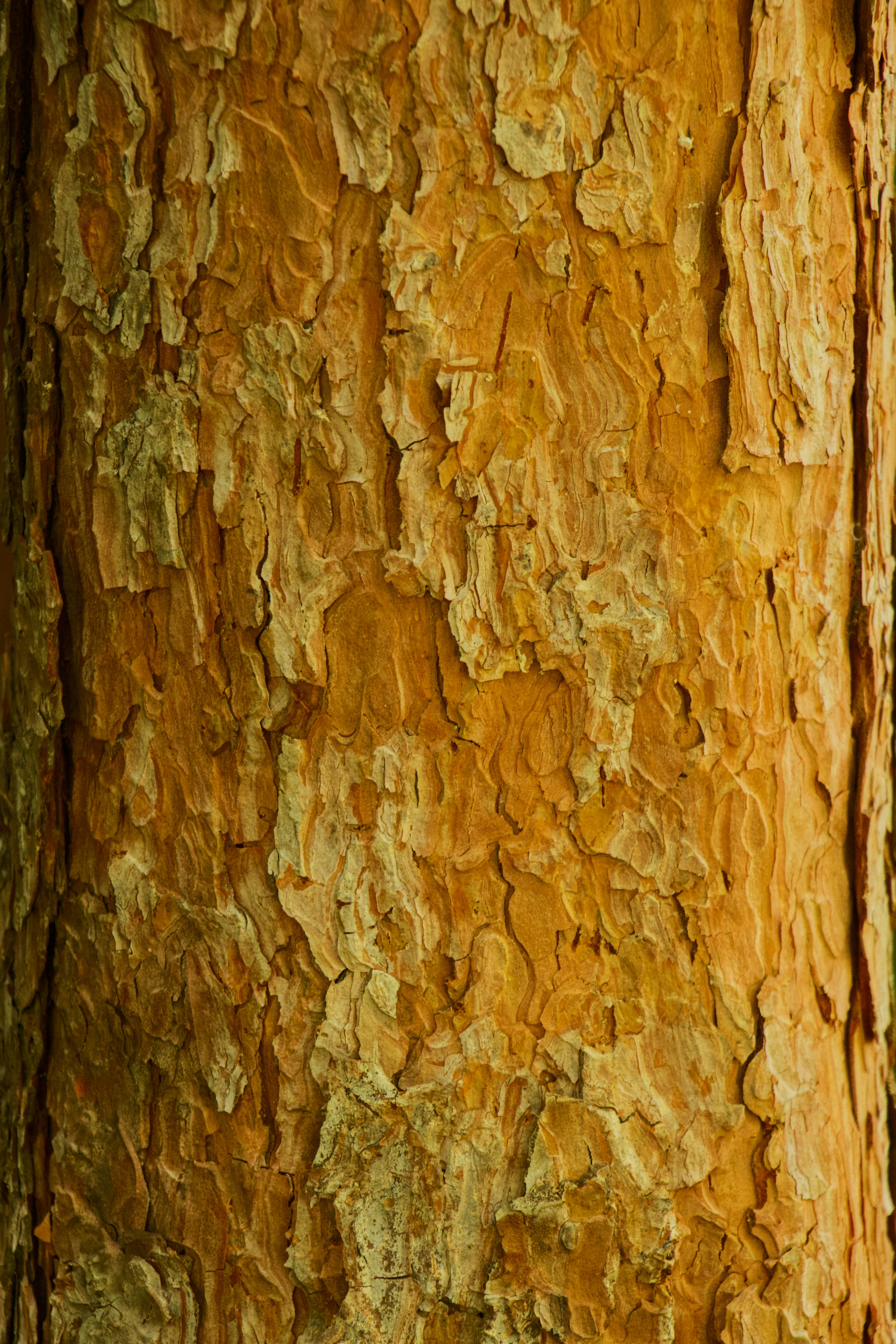 Photo by belkissayin