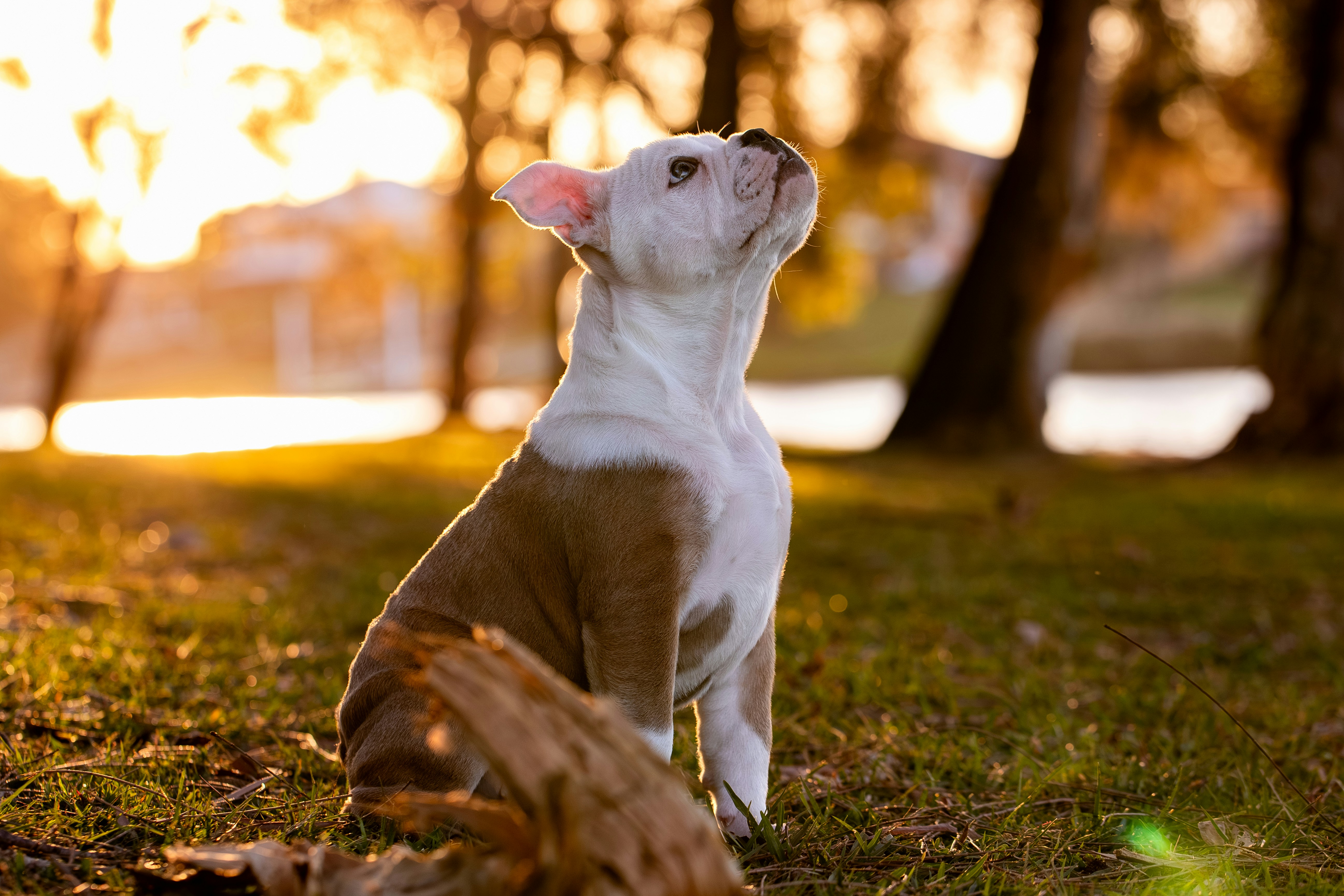 Photo by chrispylooms