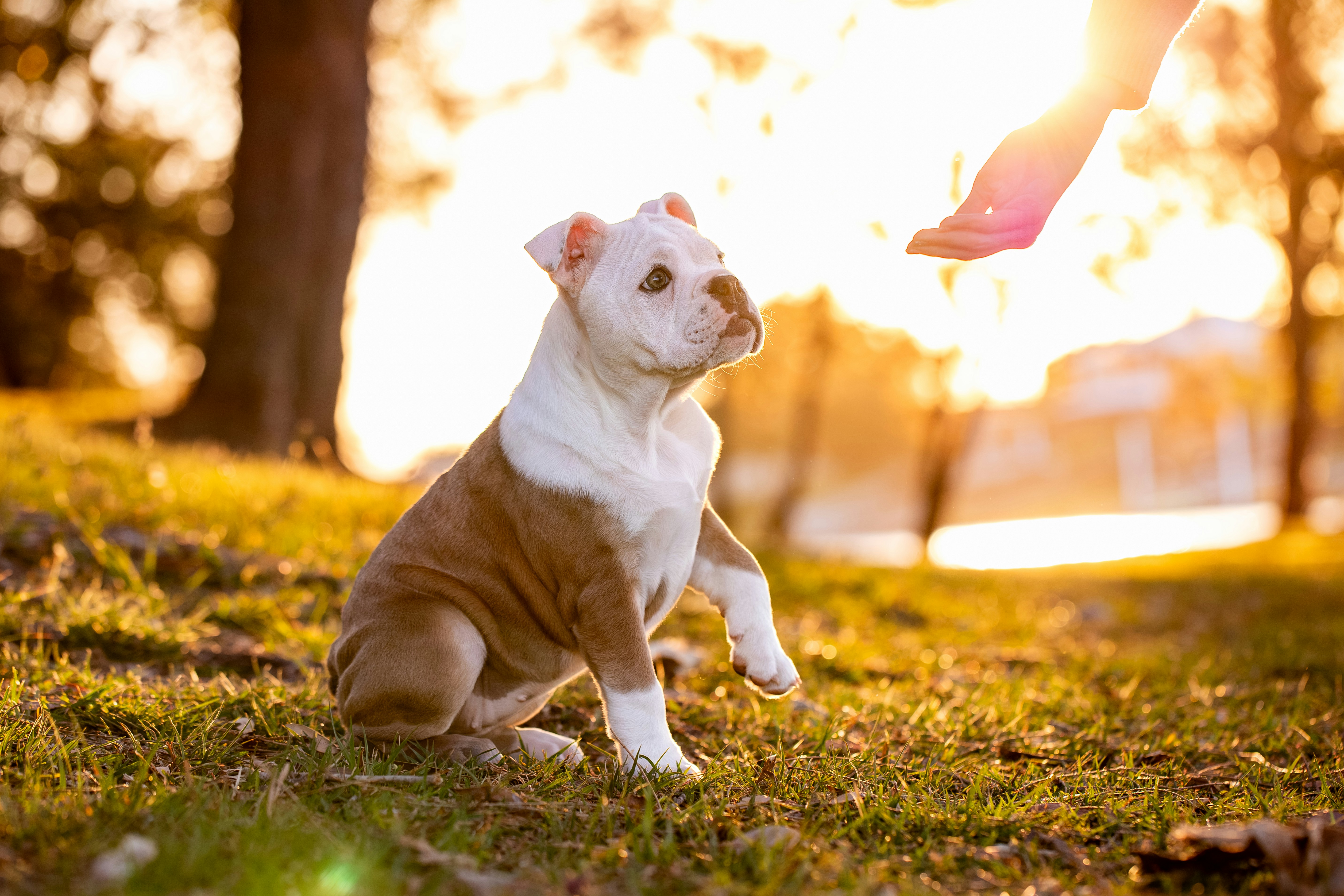 Photo by chrispylooms