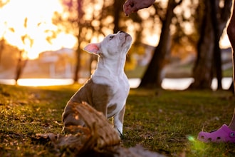 Cómo reforzar paciencia y tolerancia mediante meditación