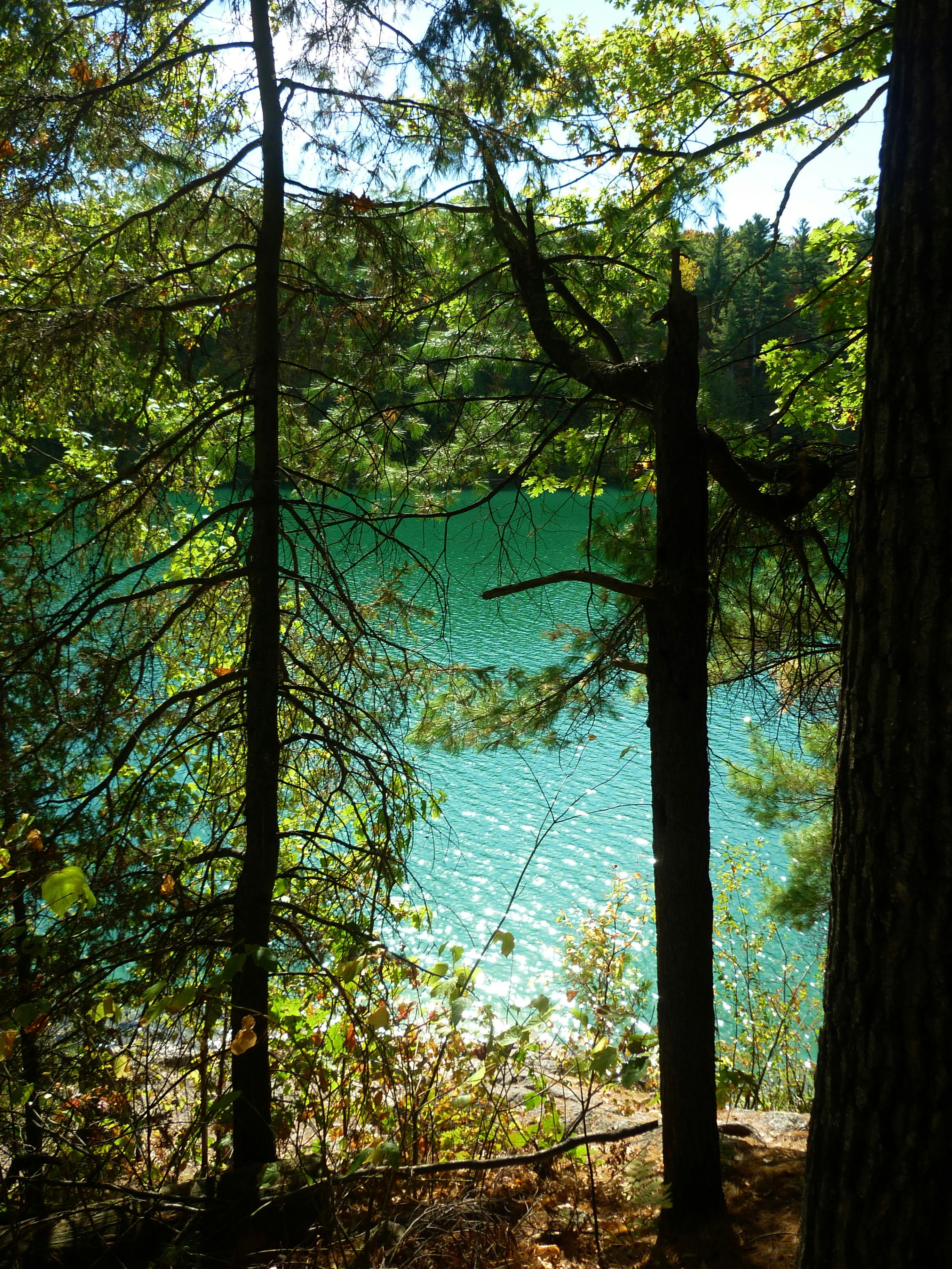 Photo by manglisamochi