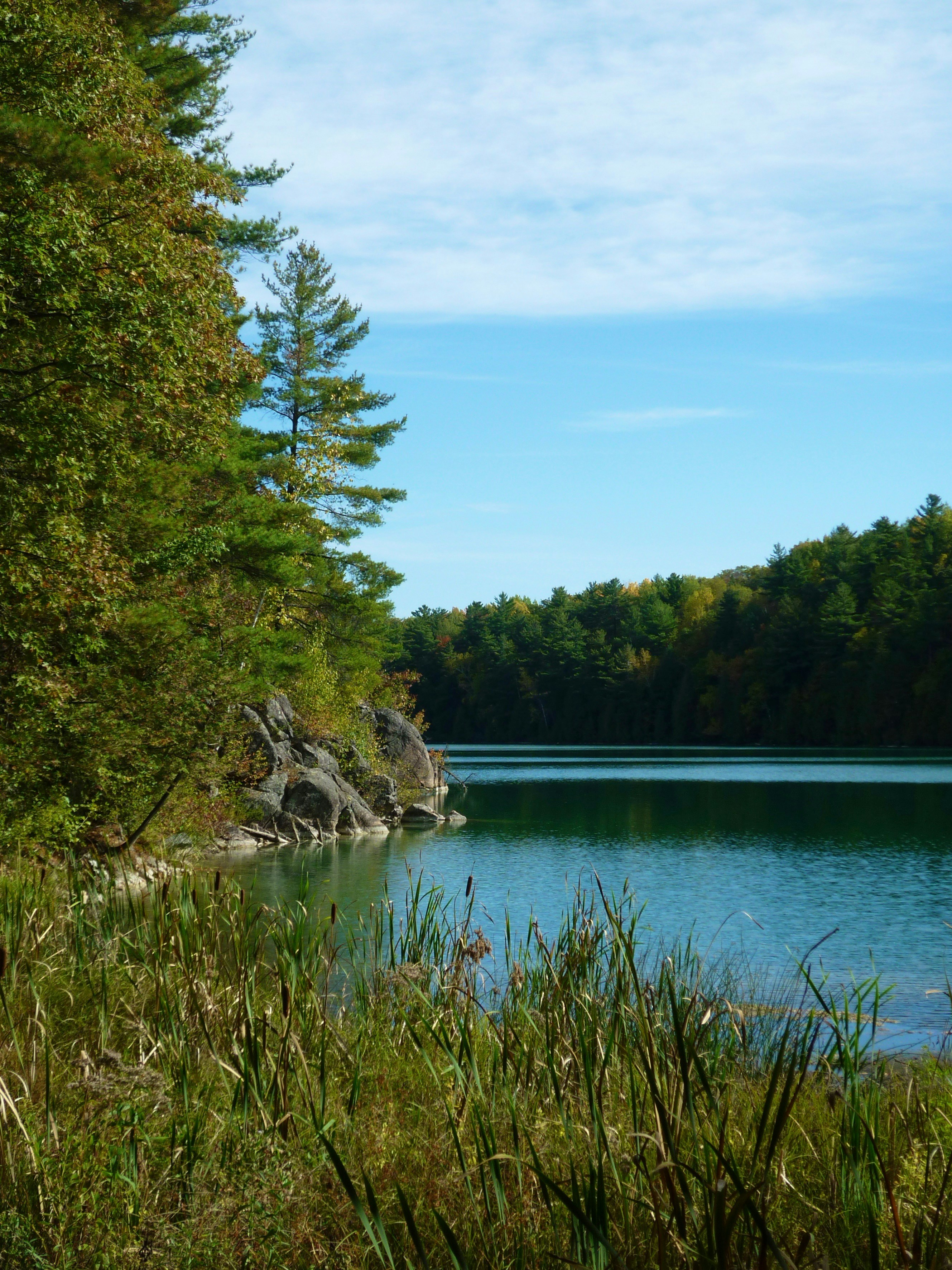 Photo by manglisamochi