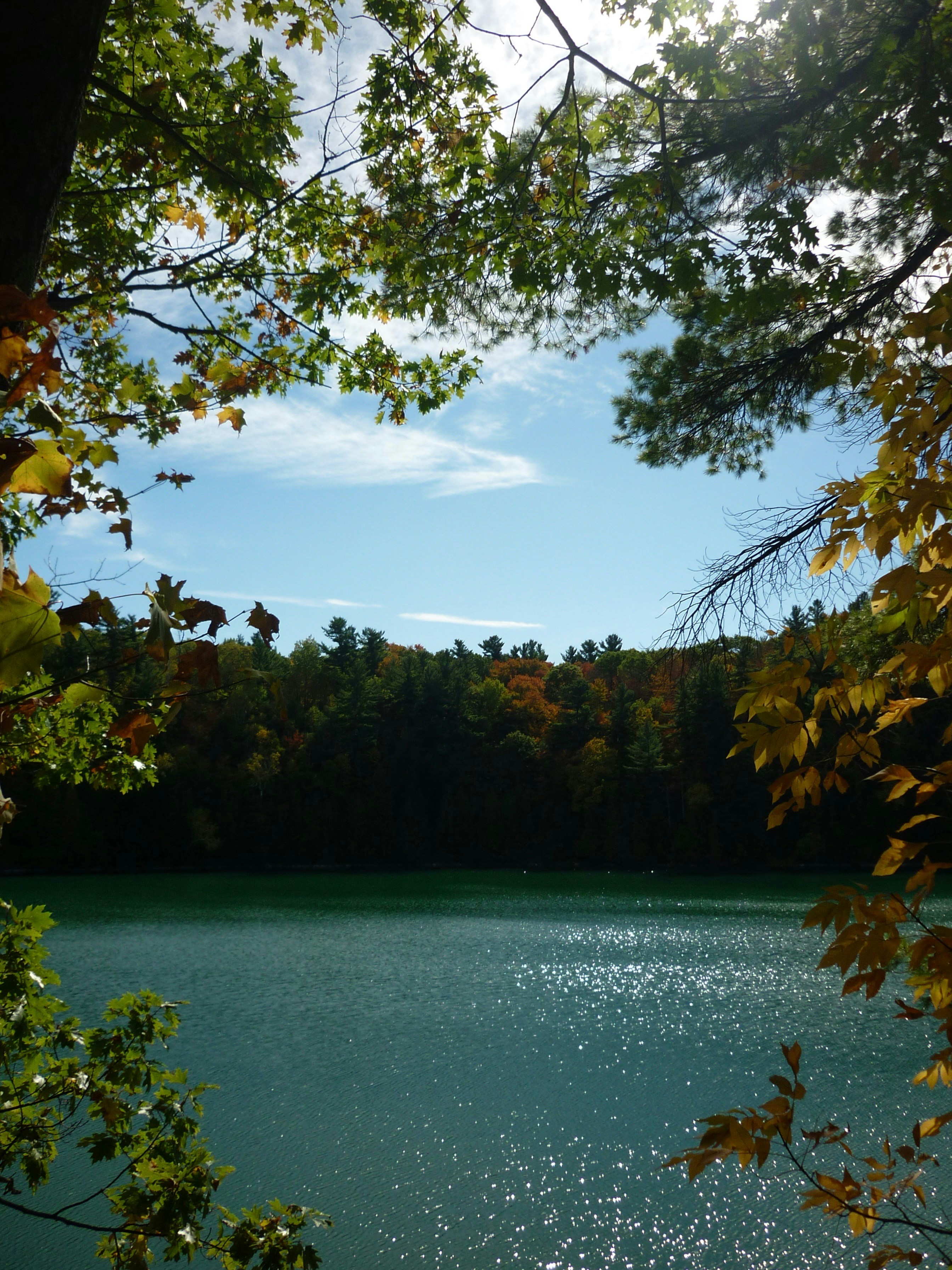 Photo by manglisamochi