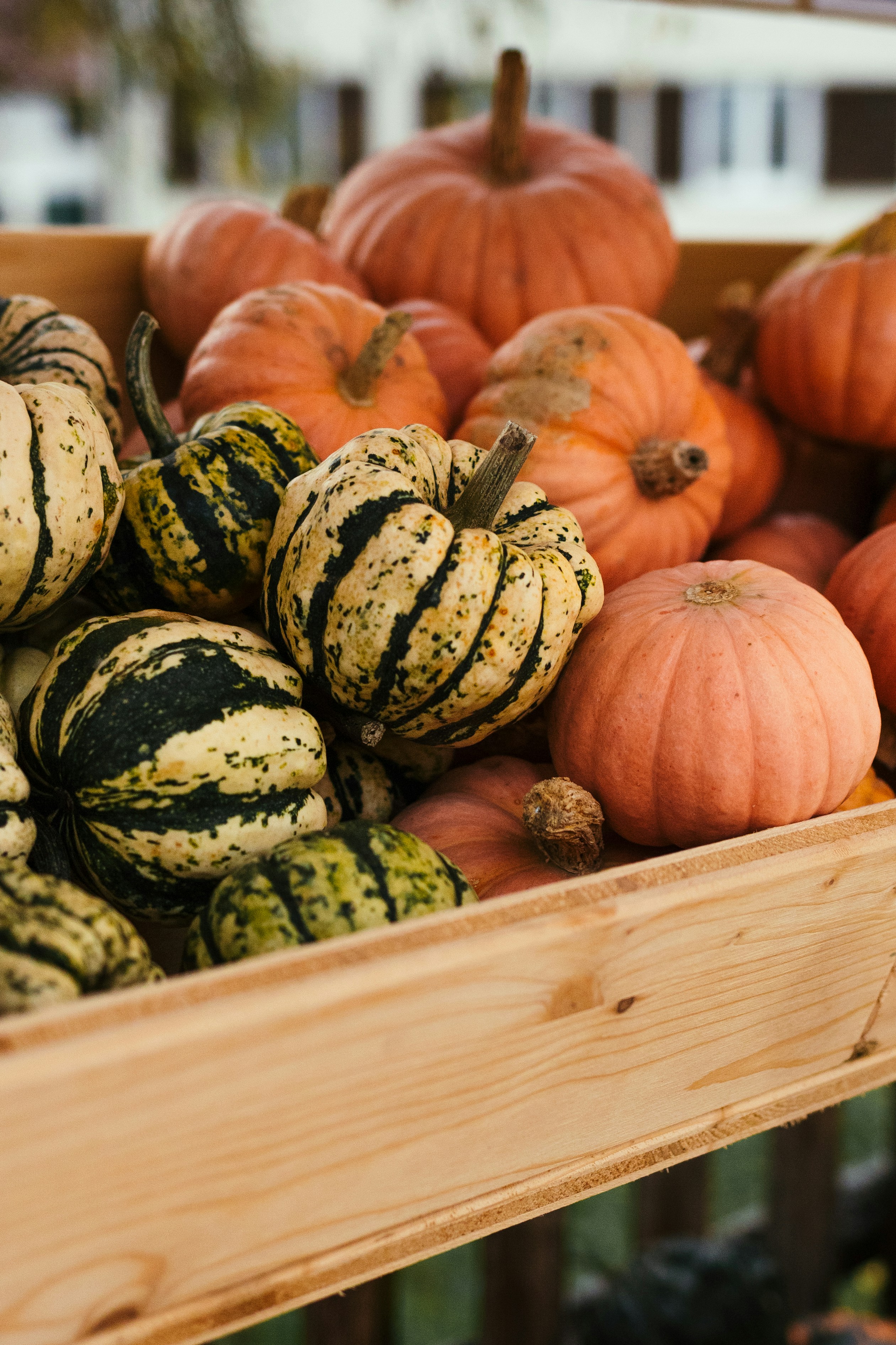 Photo by nikita_pishchugin