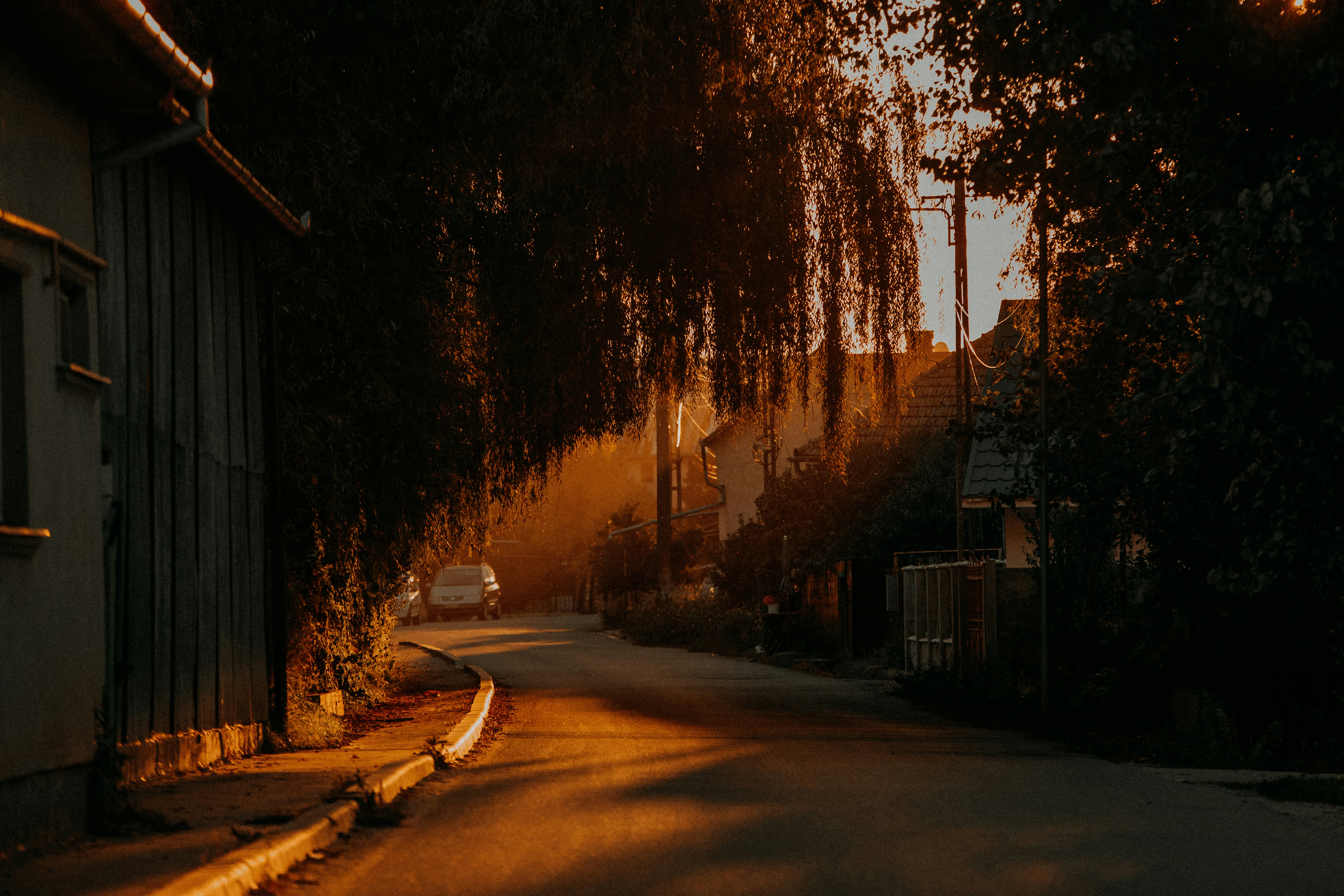 Photo by sylvester_s