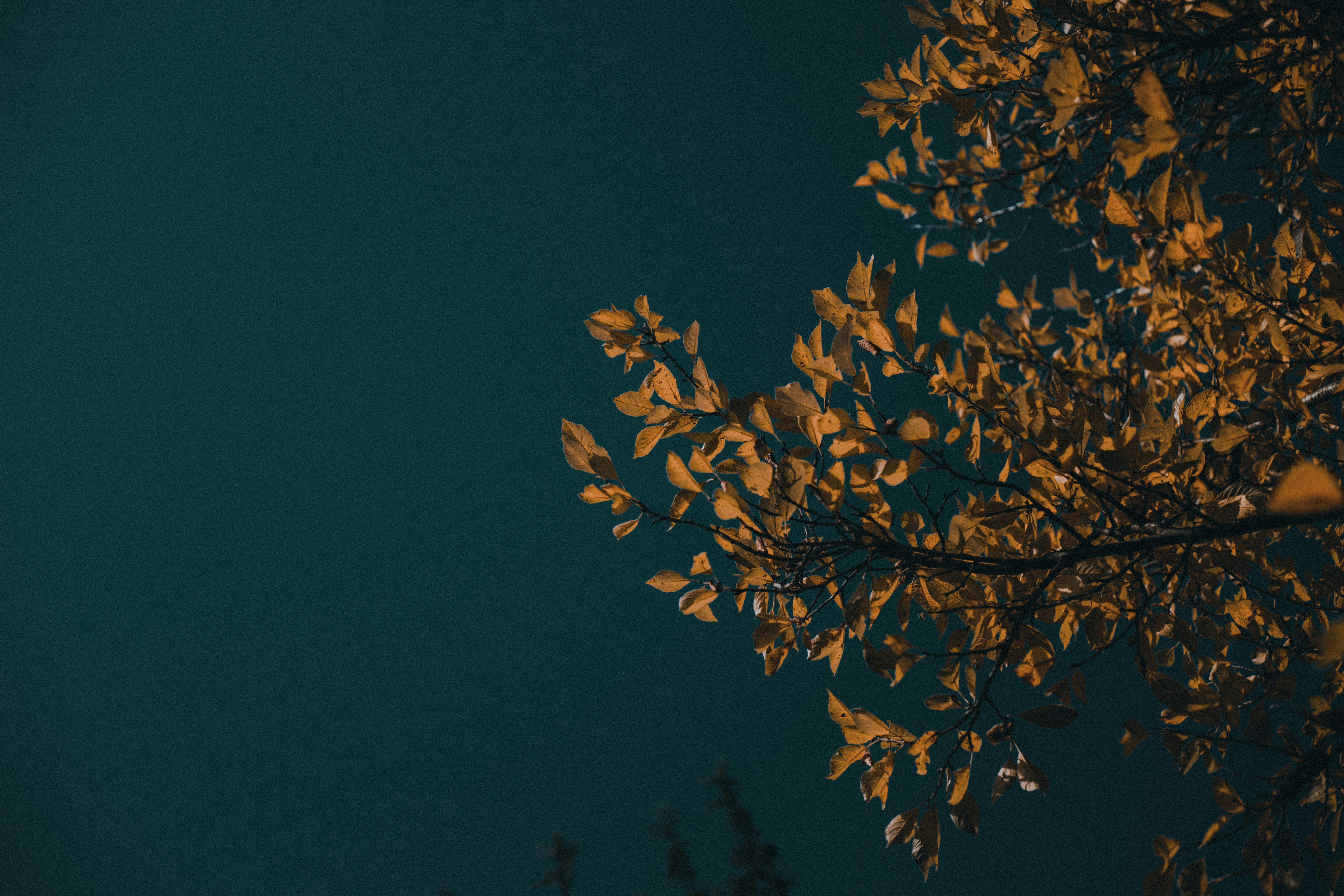 Photo by sylvester_s