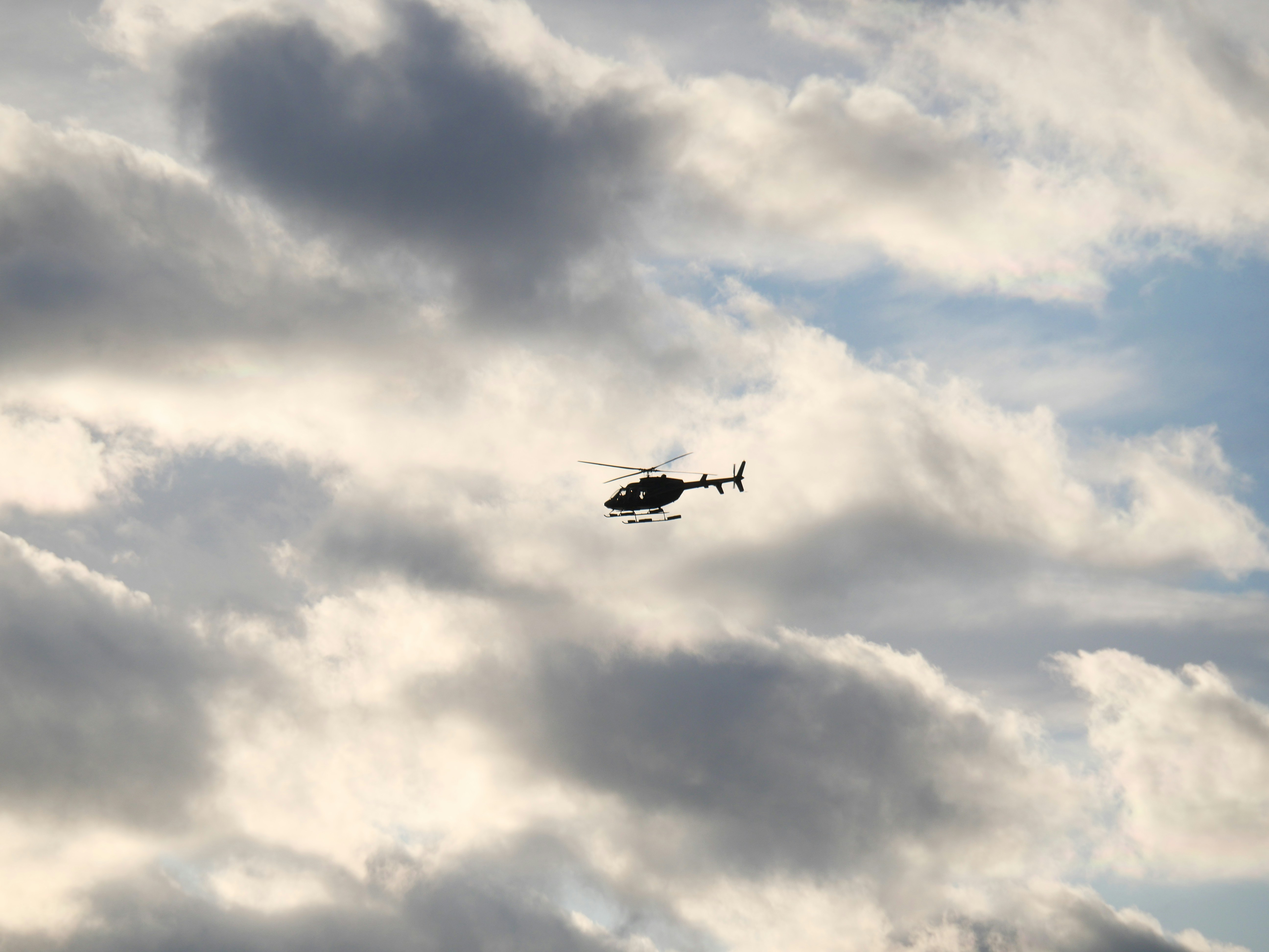 Photo by nimbus_vulpis