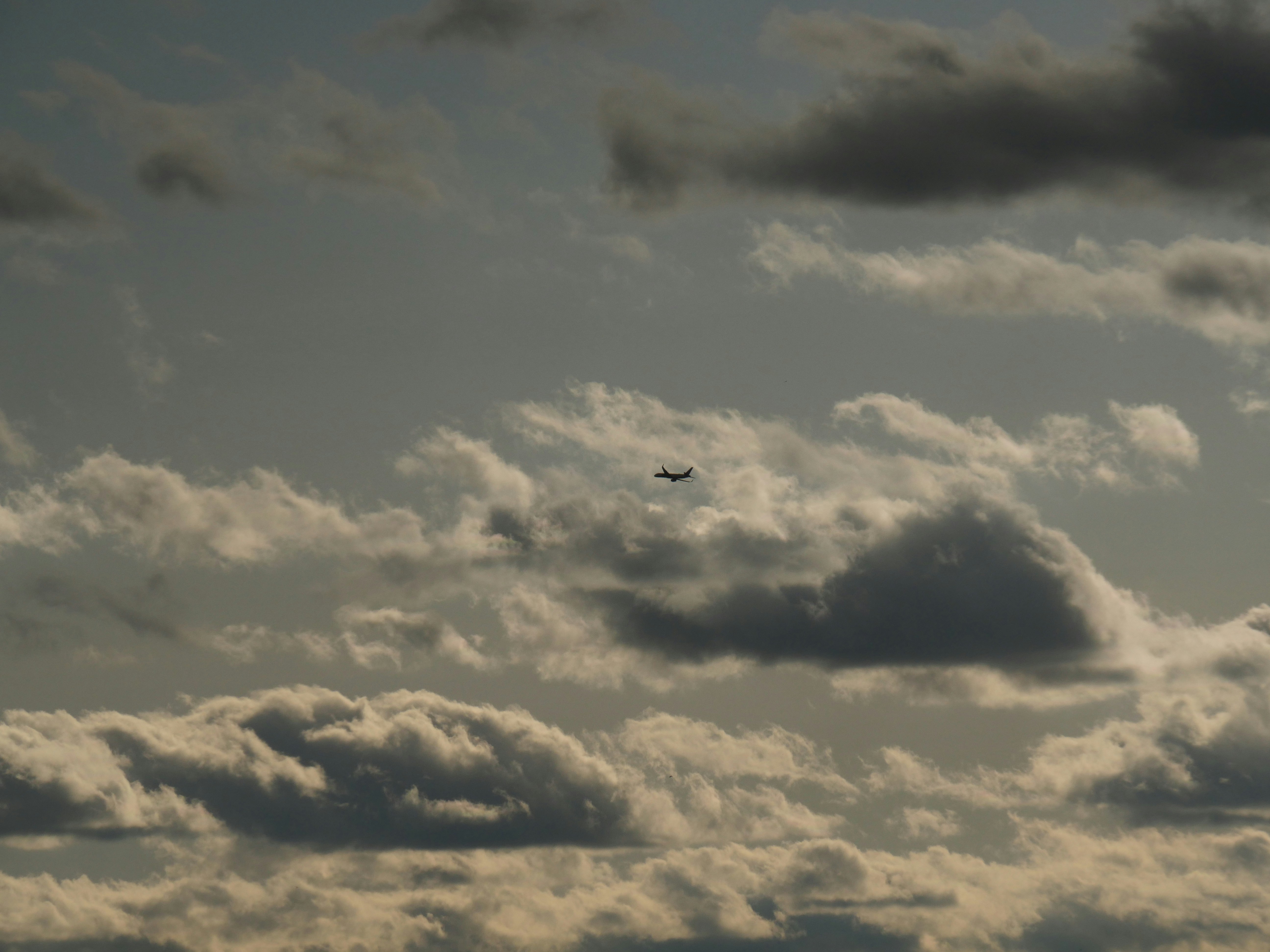 Photo by nimbus_vulpis